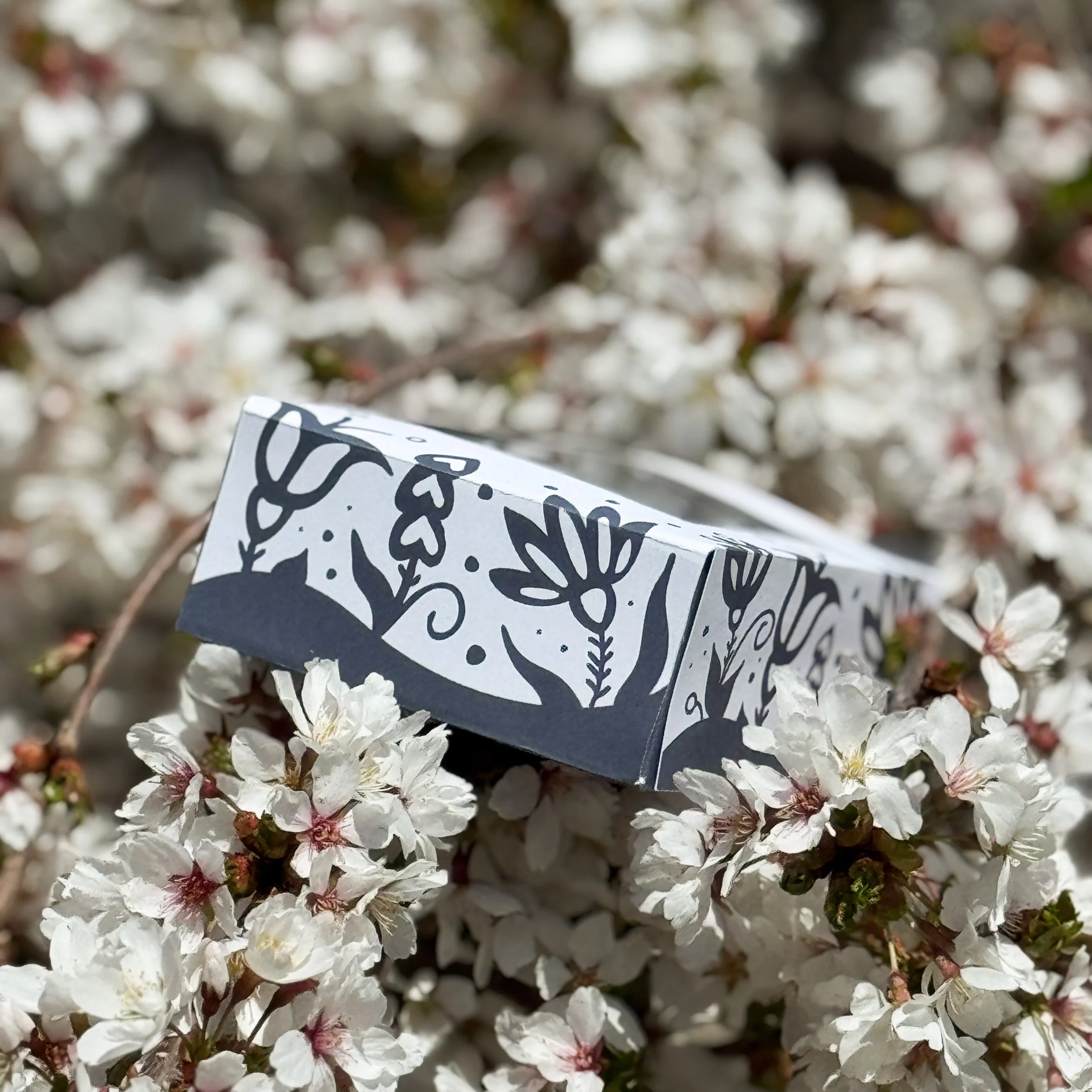 4FE5B1EE-F4A3-47CB-B08D-23DF96F139FA 2.JPEG