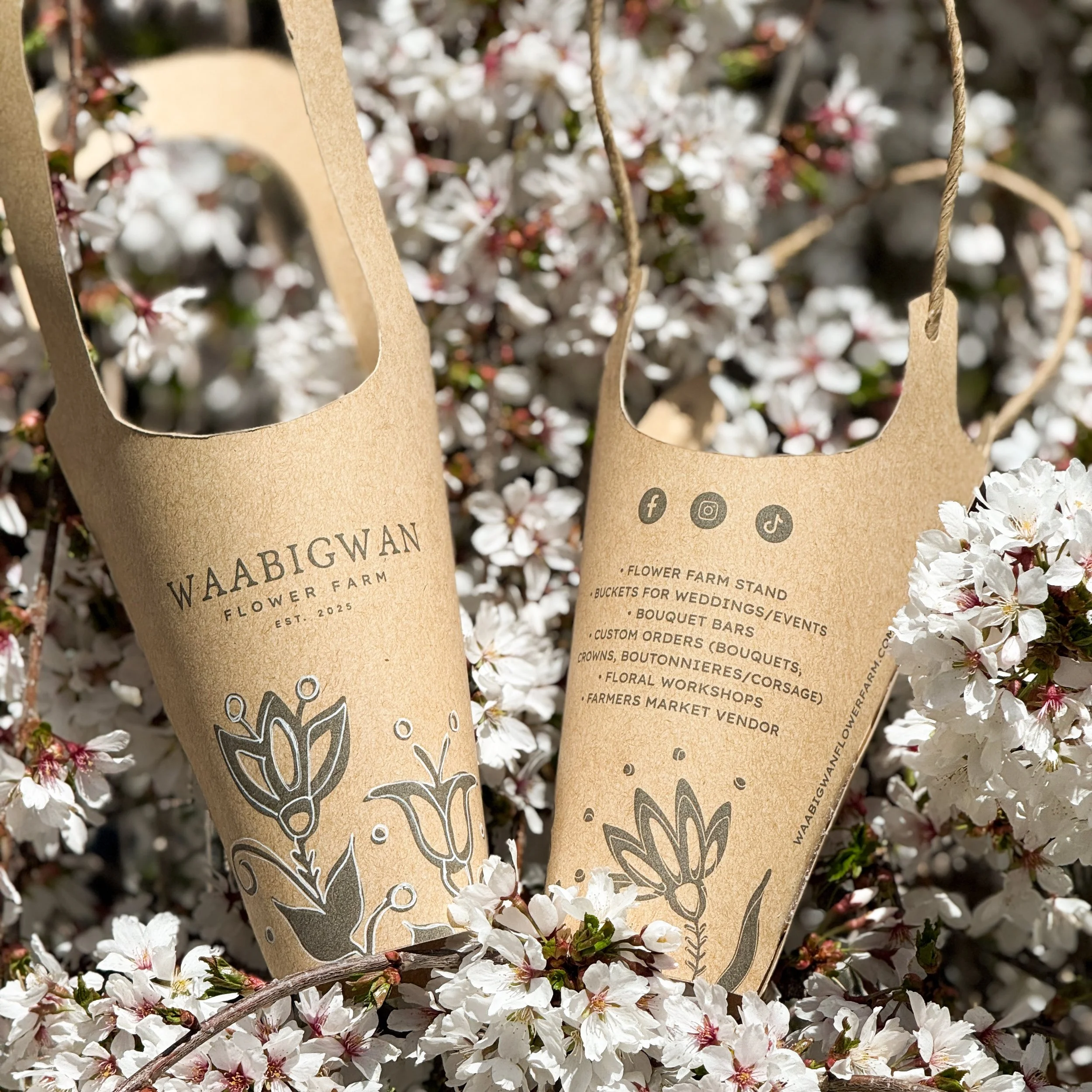 BEB73113-E813-4A77-A501-3A7E124340C6 2.JPEG