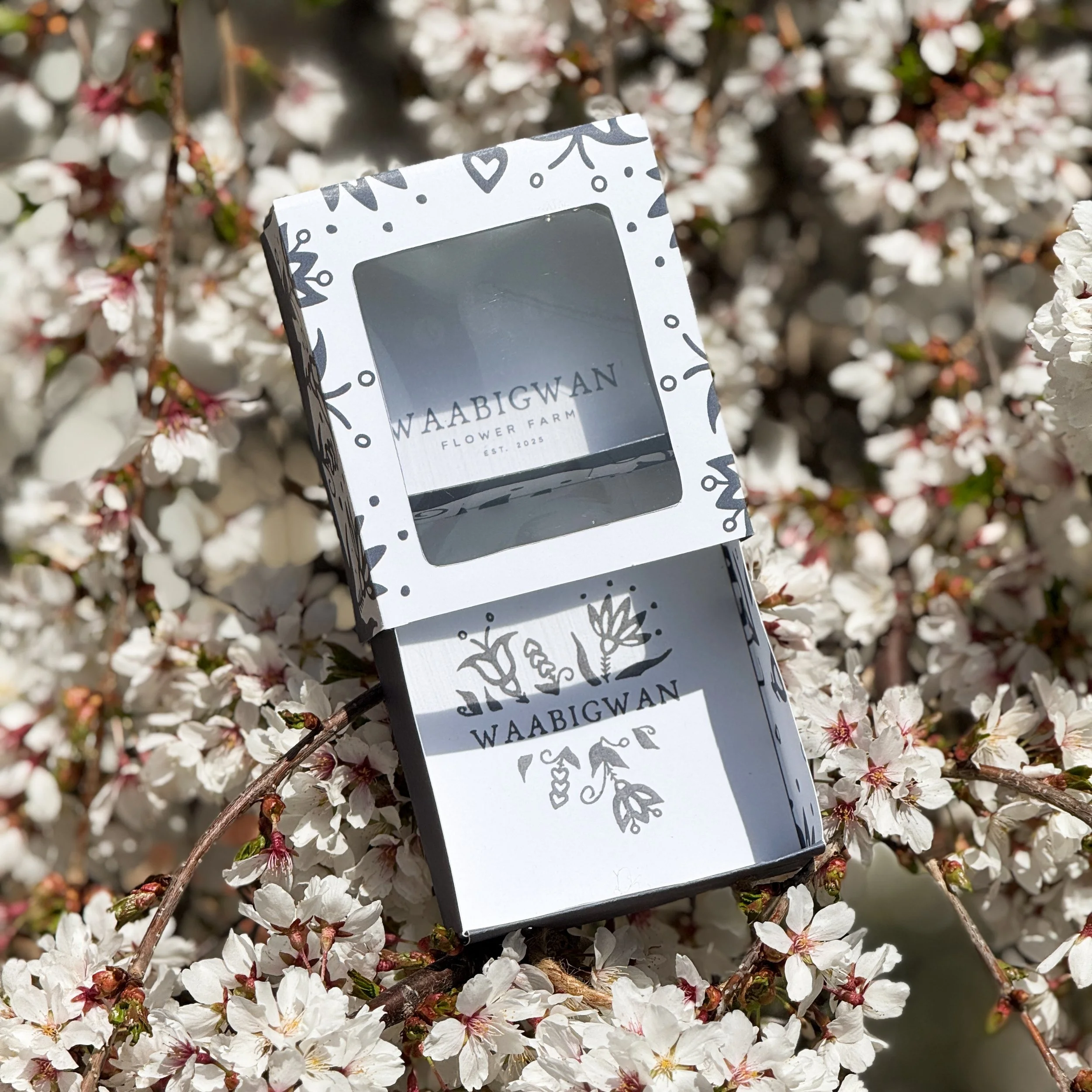 F2E3FDFA-A41D-4F59-ABD8-2C884EF1B01C 2.JPEG