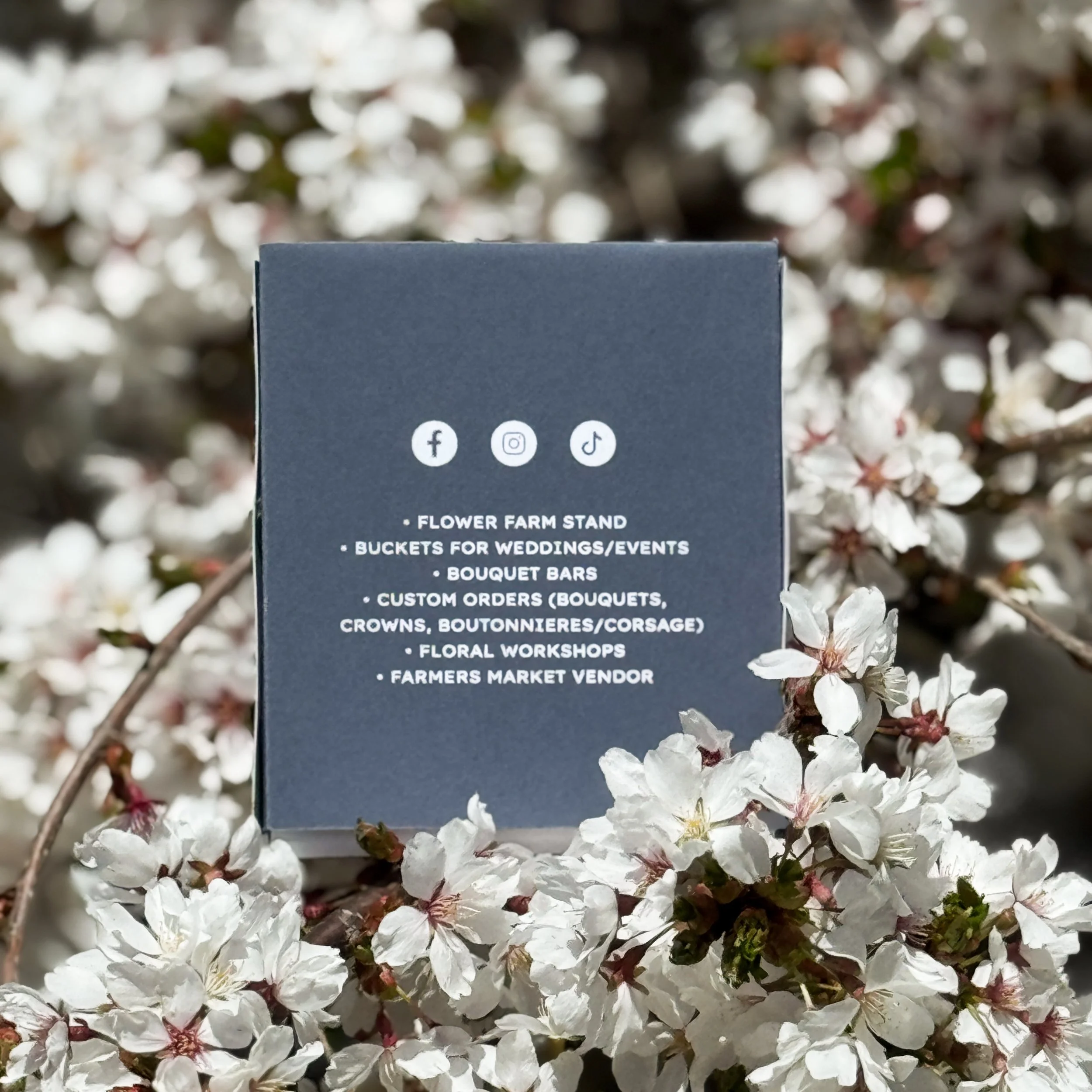 8746B2CB-DB24-41F1-A777-19942B27CEA3 2.JPEG