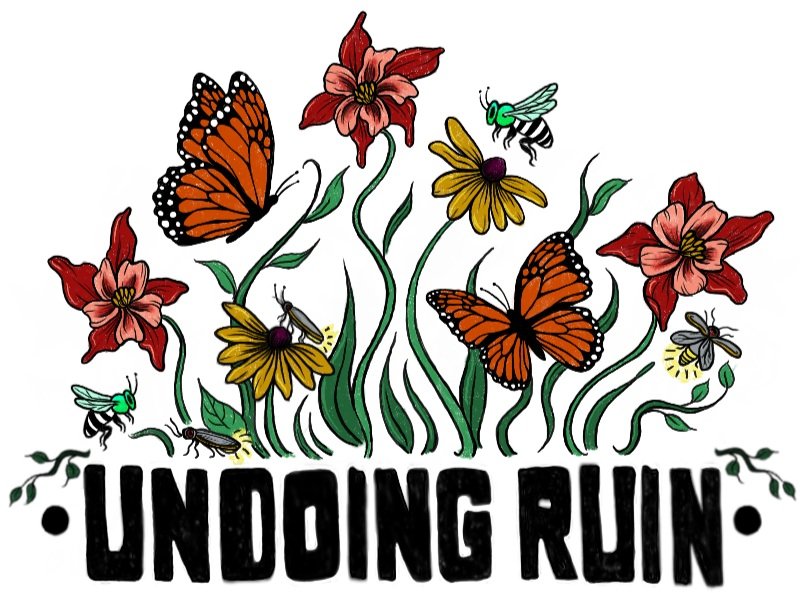 Undoing Ruin Conservation 
