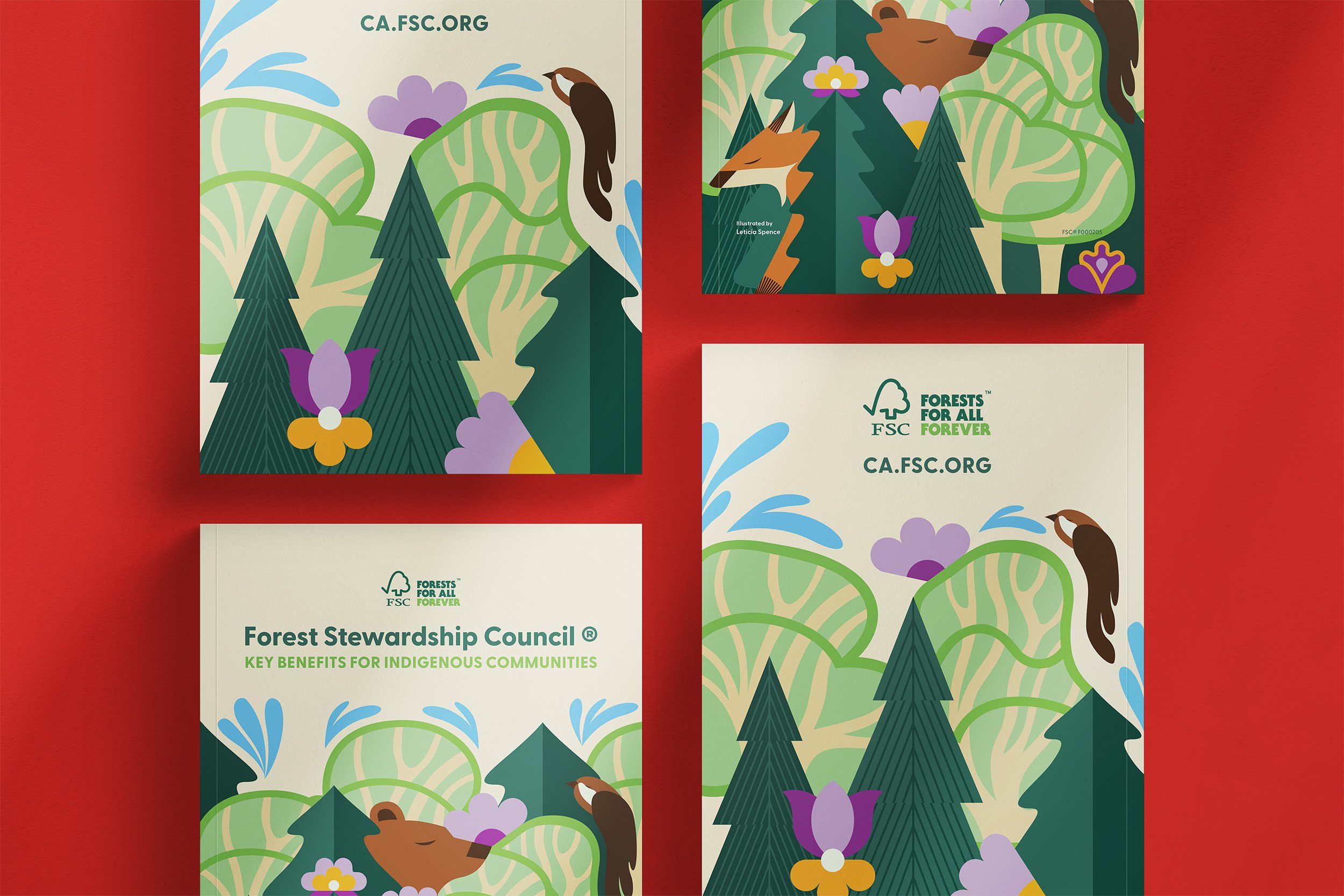 Forest Stewardship Council | Key Benefits For Indigenous Communities Booklet