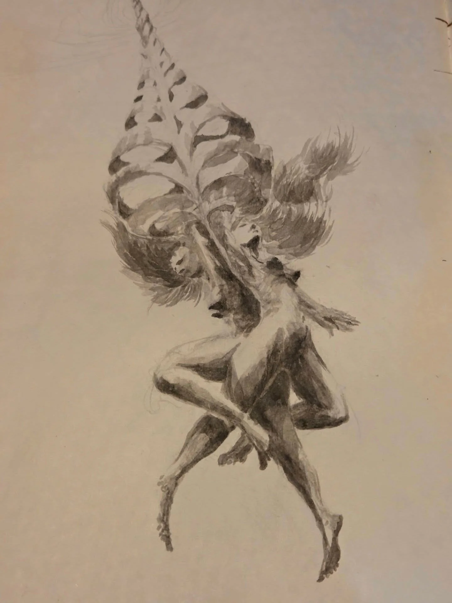 Thinking on 'Contraterrene'