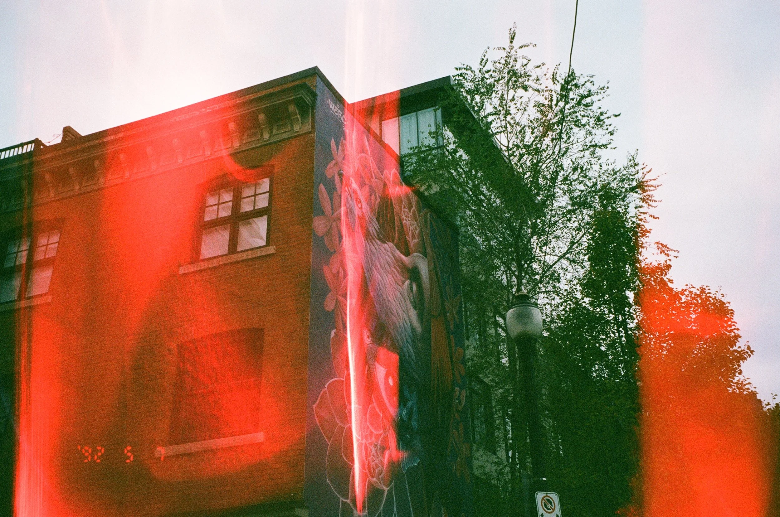 Photograph of a brick building with a mural of flowers and a large bird, topped with a green tree and a streetlamp, with a red light leak effect.