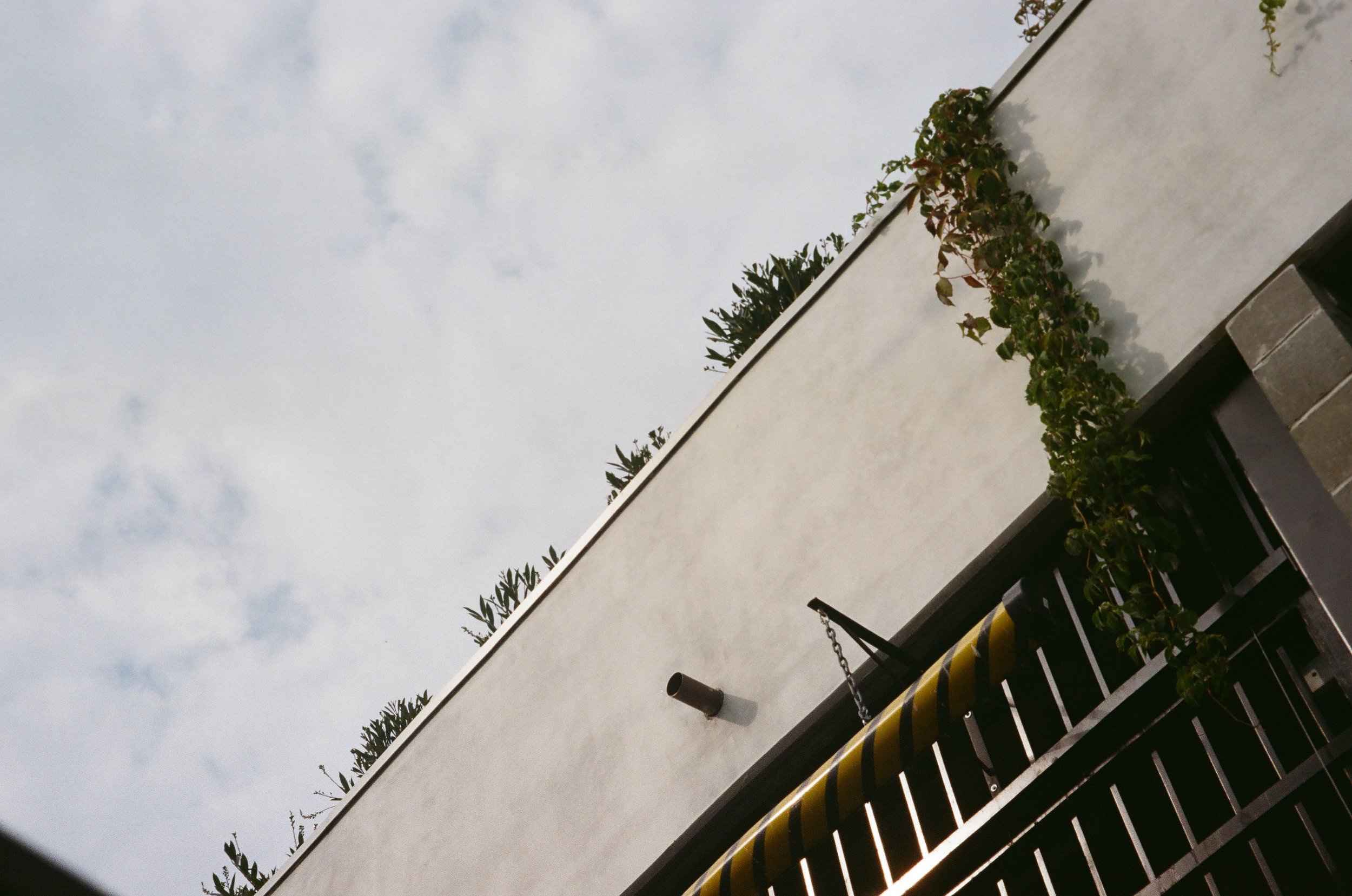 Part of a building's exterior wall with a white surface, some green plants, and a black metal fence with a yellow and black striped barrier.