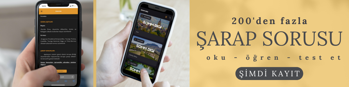 şarap, şarap eğitimi, şarap soruları, wset eğitimi,