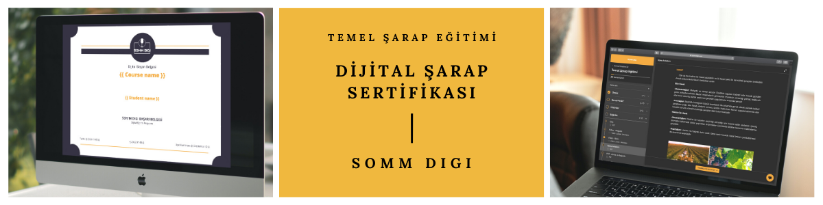 wset şarap eğitimi, somm digi şarap eğitimi, şarap sertifikası