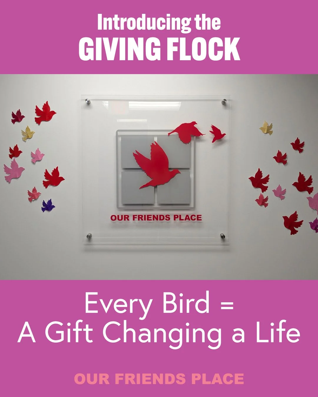 Introducing the Giving Flock &mdash; a visual celebration of the donors who help young women take flight.

Every gift adds a bird to the wall, filling our office sky with hope and possibility.

🕊️ Give today and watch the flock grow.

https://www.ou
