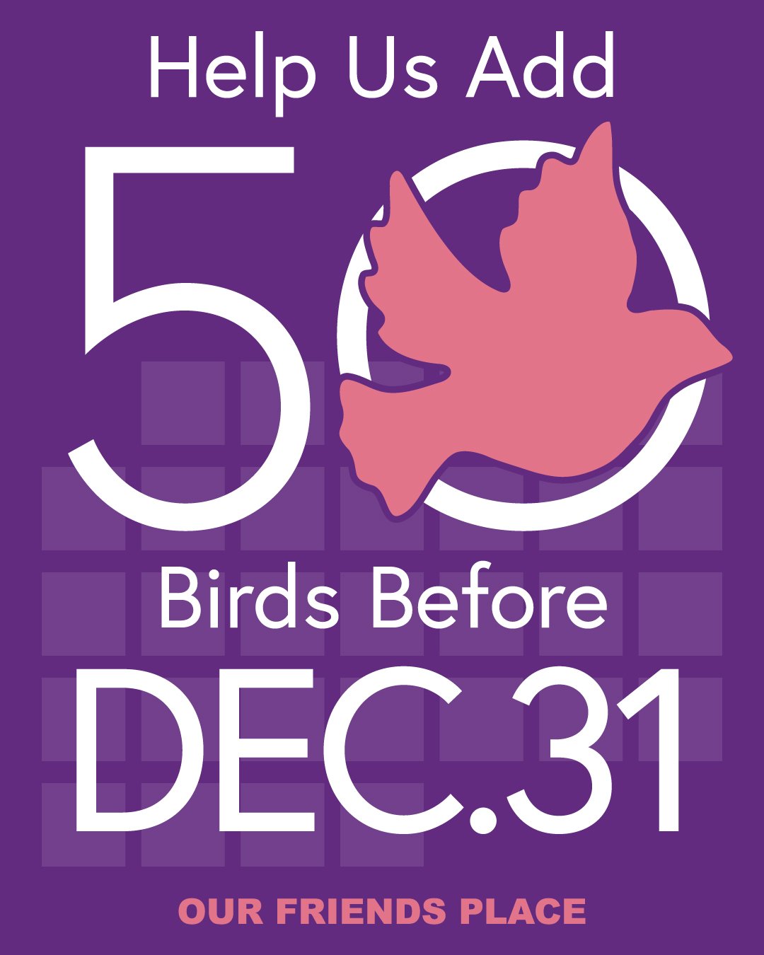 Can we add 50 more birds before December 31?

Your year-end gift helps young women step into 2026 with safety, stability, and the confidence to rise.

Every bird added to the Giving Flock represents a young woman gaining the support she needs to brea