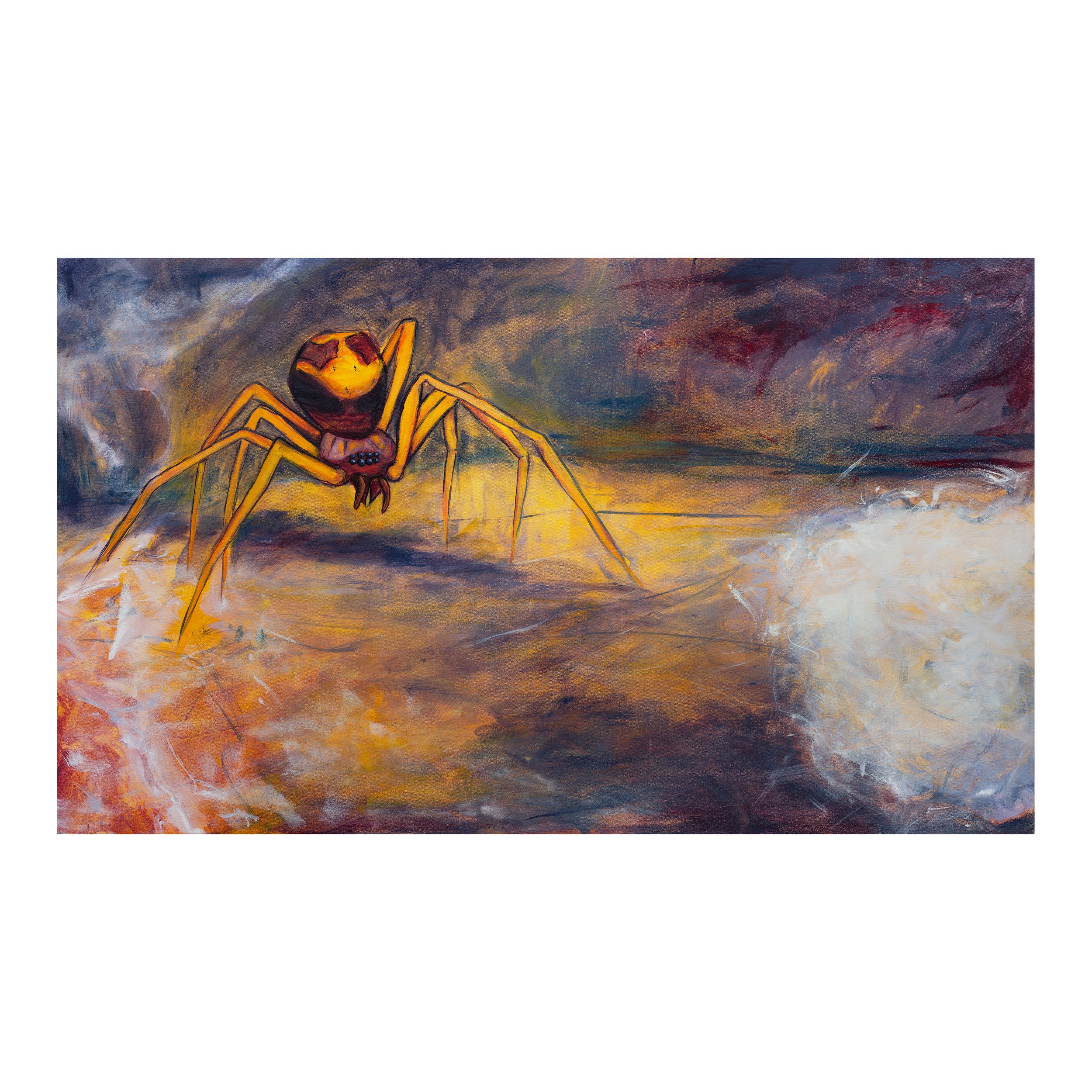 spider_final-resize.jpg