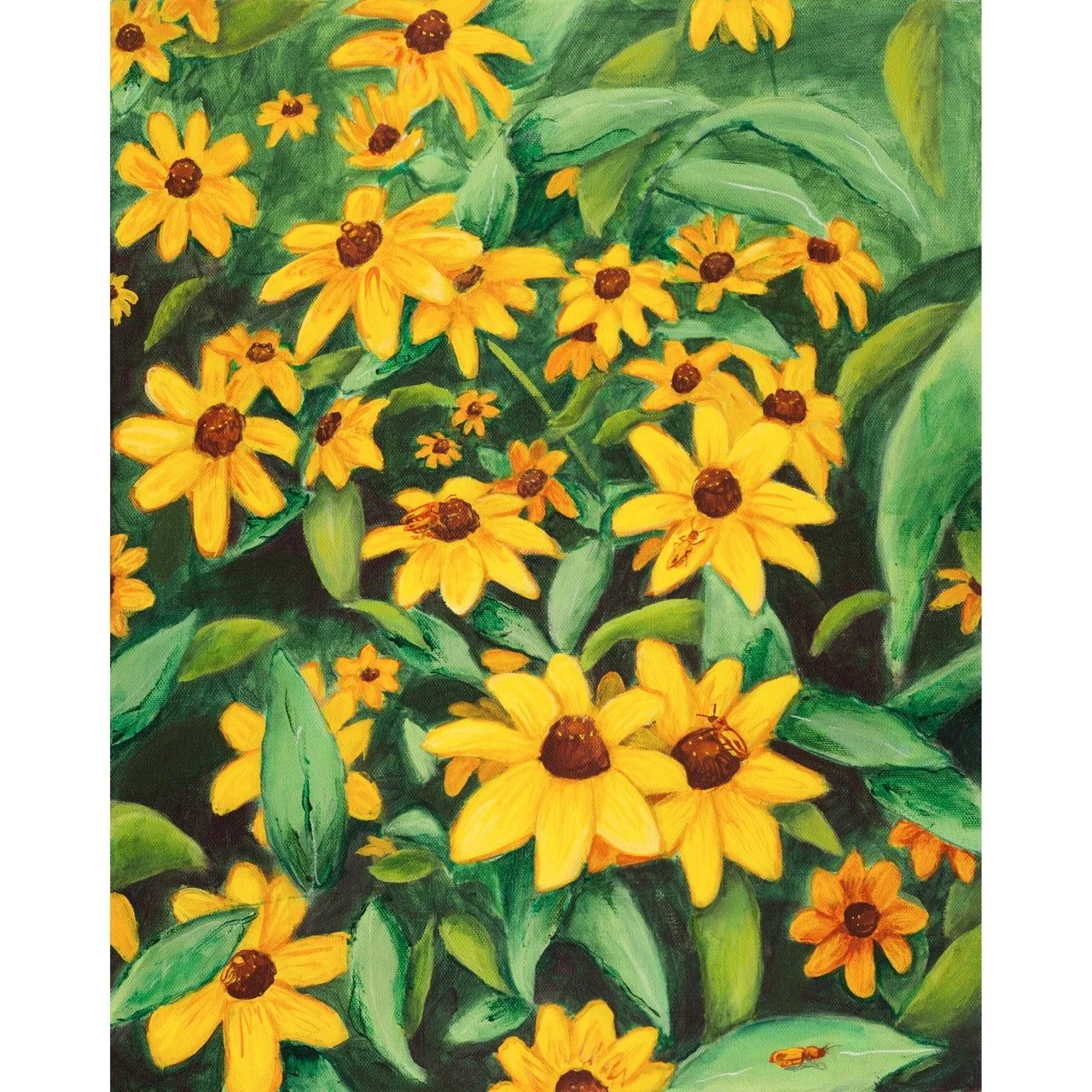 rudbeckia_final-square Large.jpeg