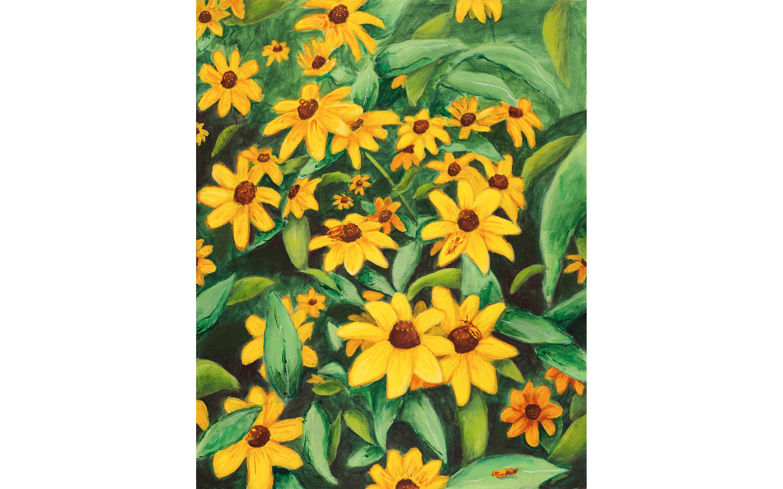 rudbeckia_final-rectangle.jpg