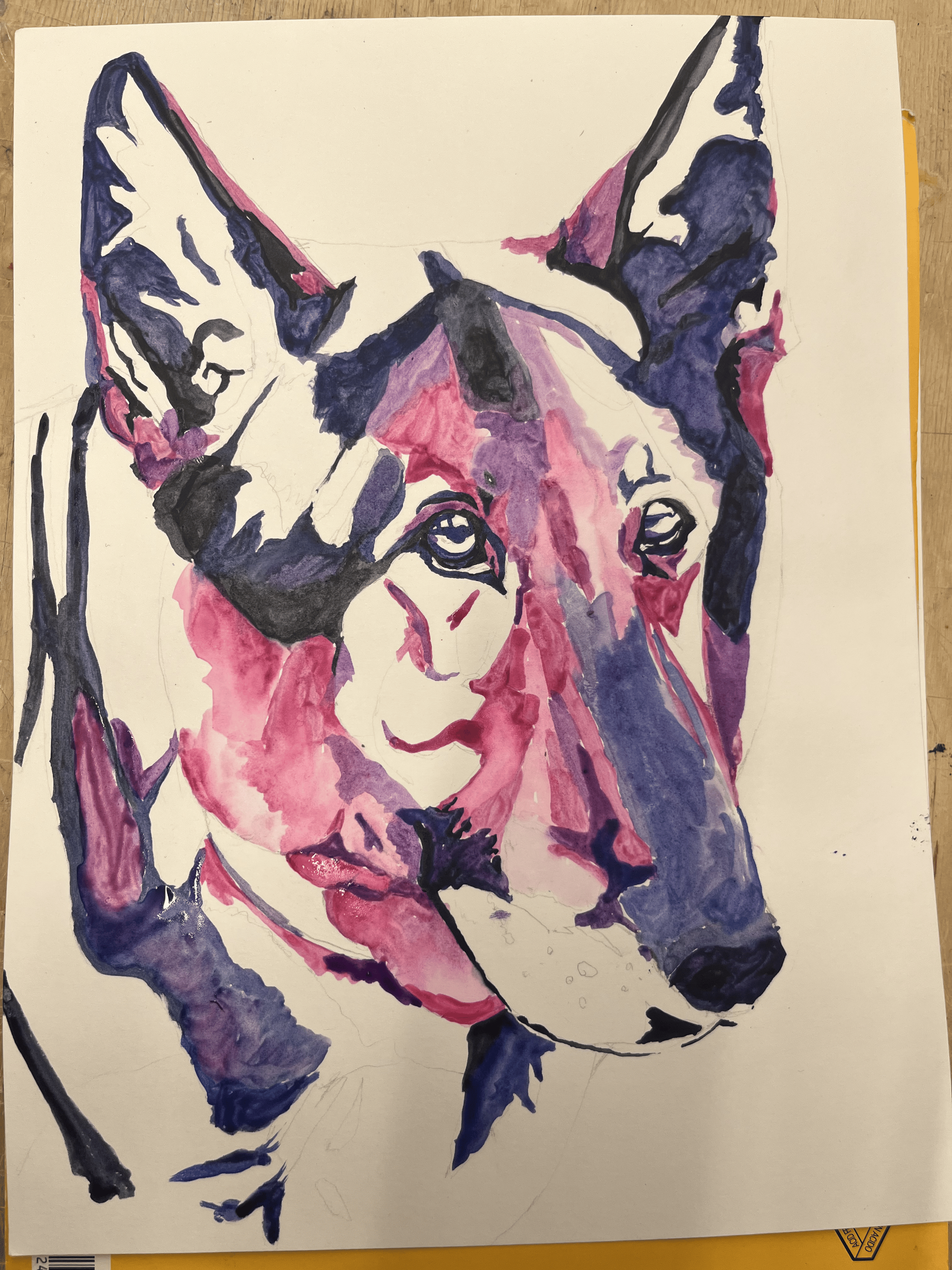IMG_6769 (1).png