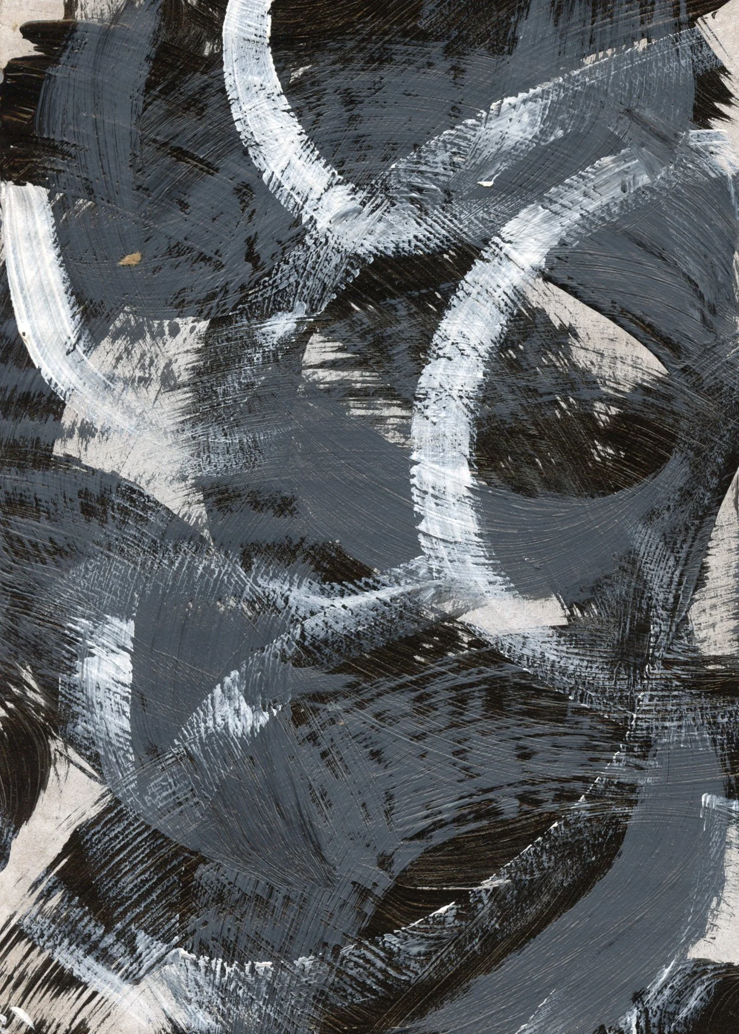 Cardboard Canvas-42.jpg