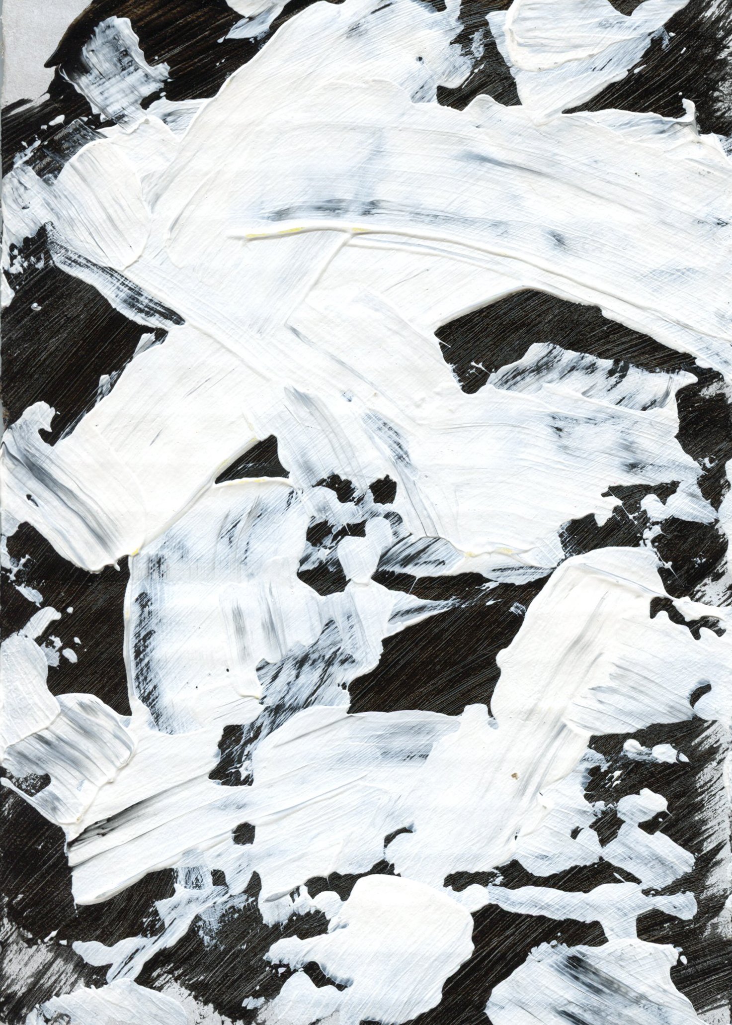 Cardboard Canvas-54.jpg