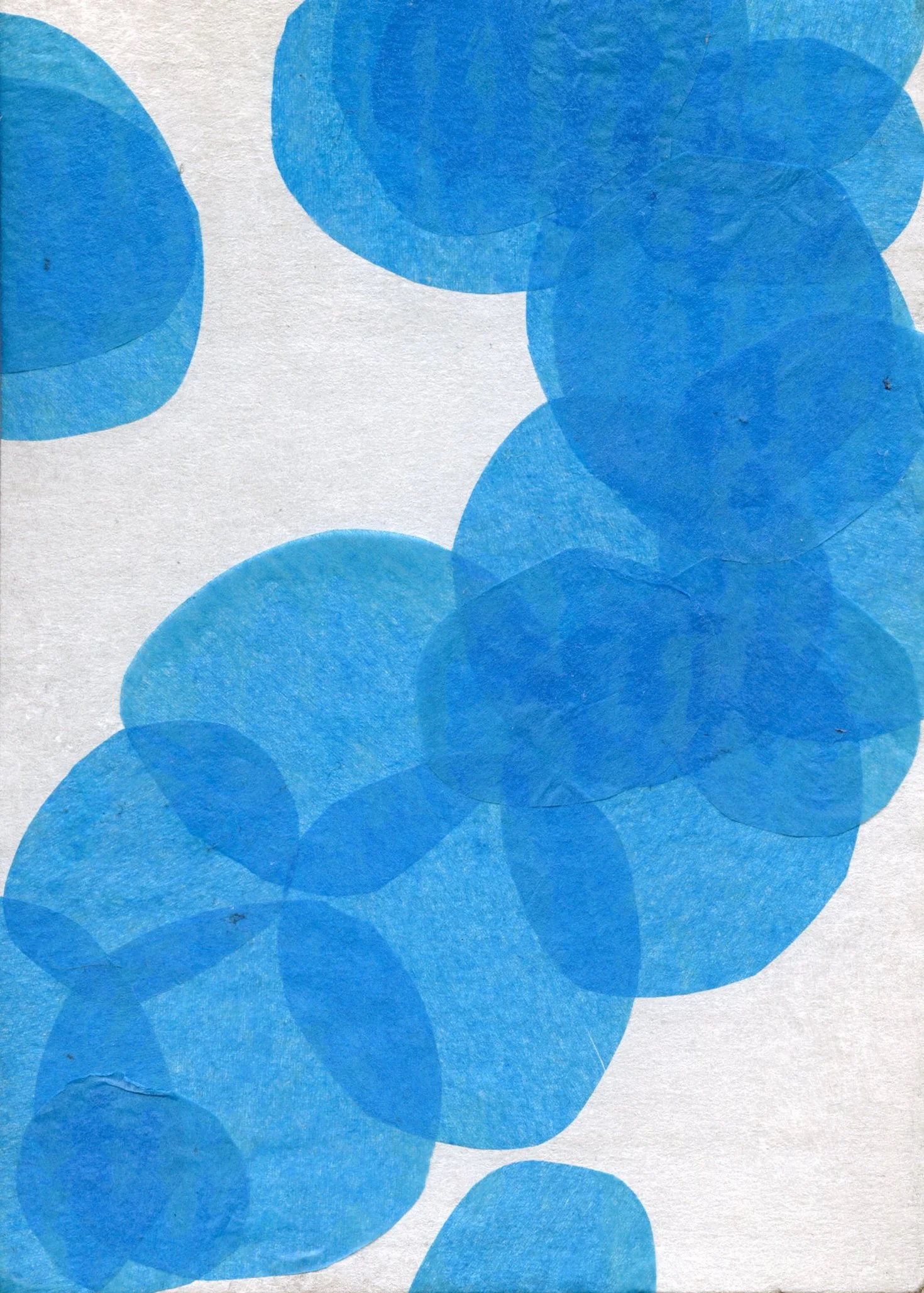 Cardboard Canvas-87.jpg
