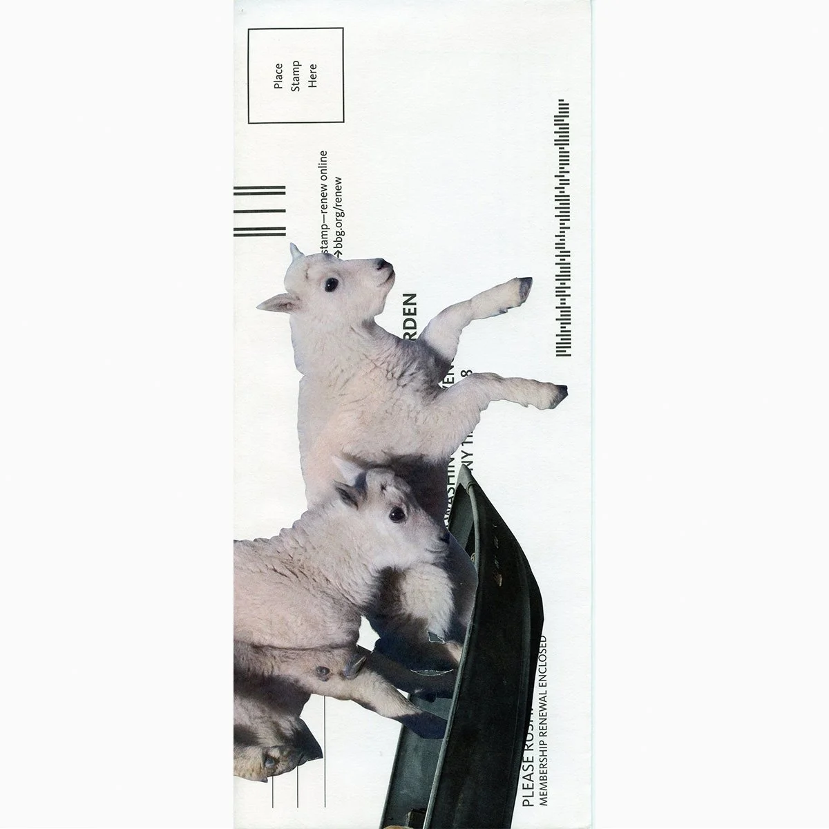 envelope86.jpg