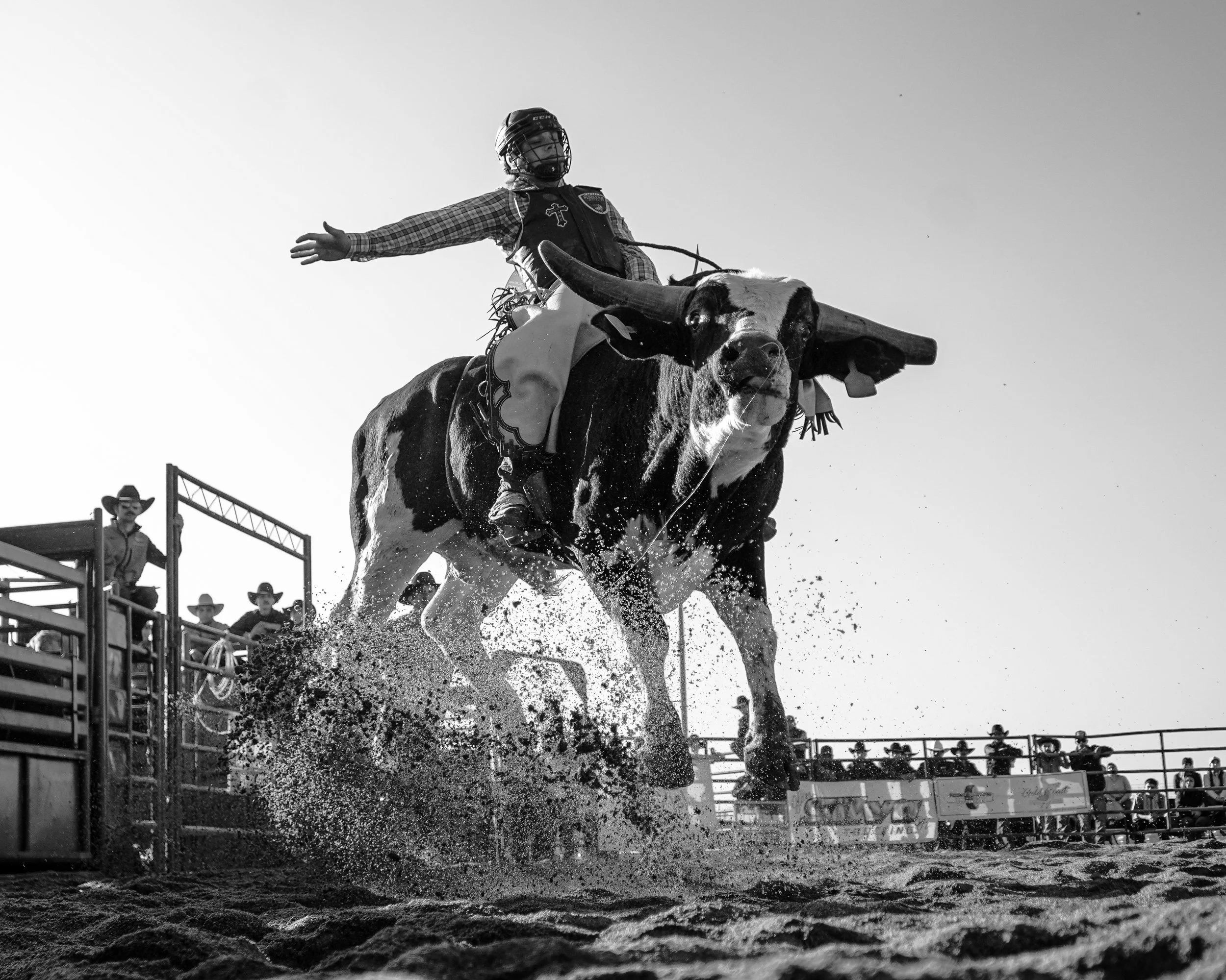 web update 1-14-26-29.jpg