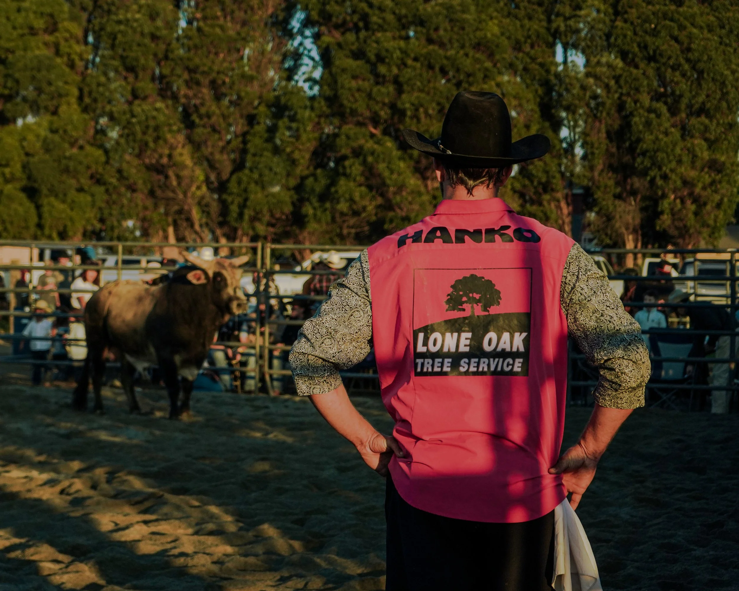 web update 1-14-26-32.jpg