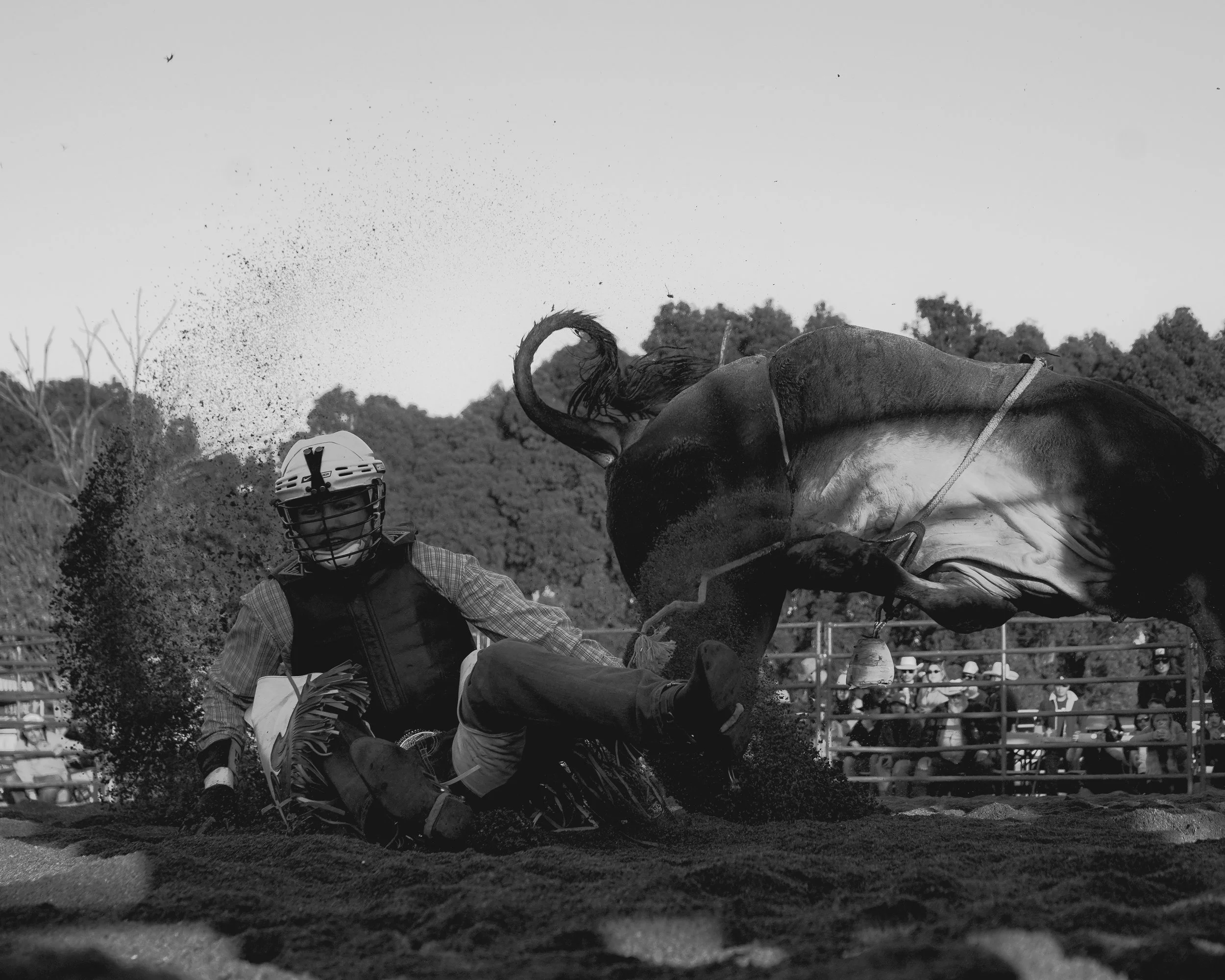 web update 1-14-26-31.jpg