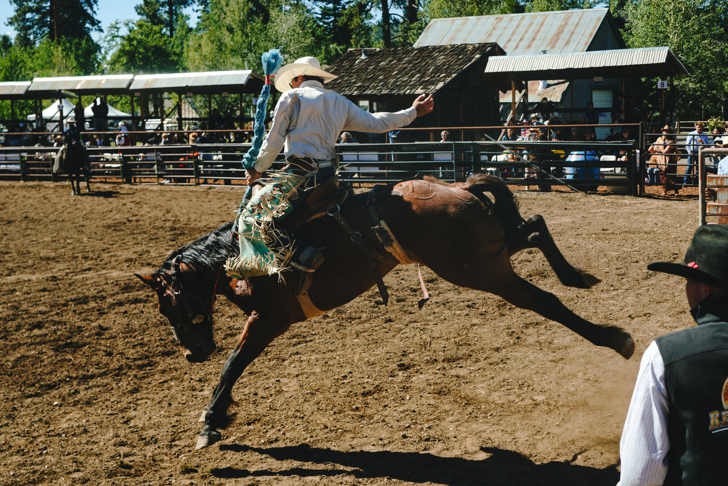 tahoe_web-7.jpg