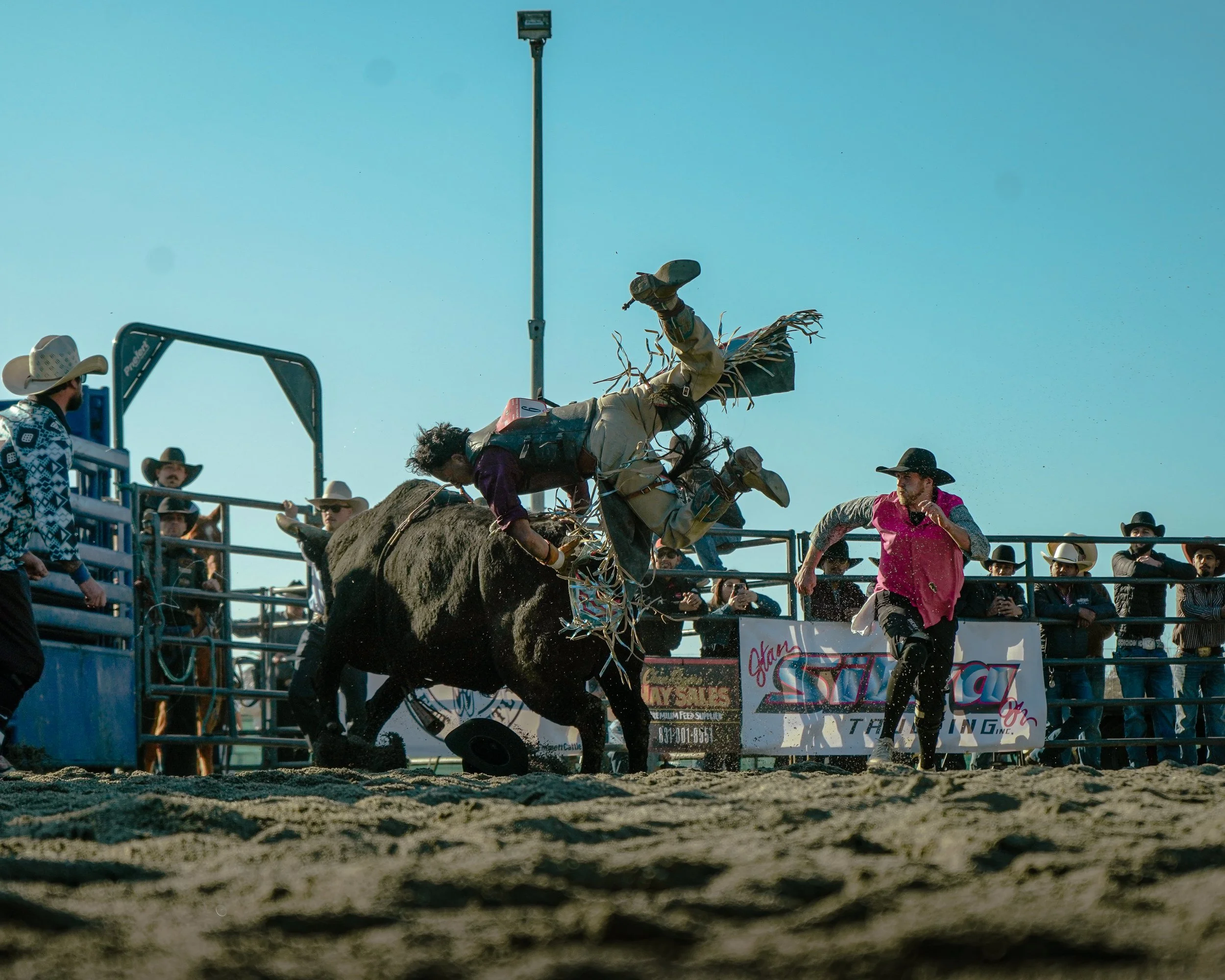 web update 1-14-26-19.jpg