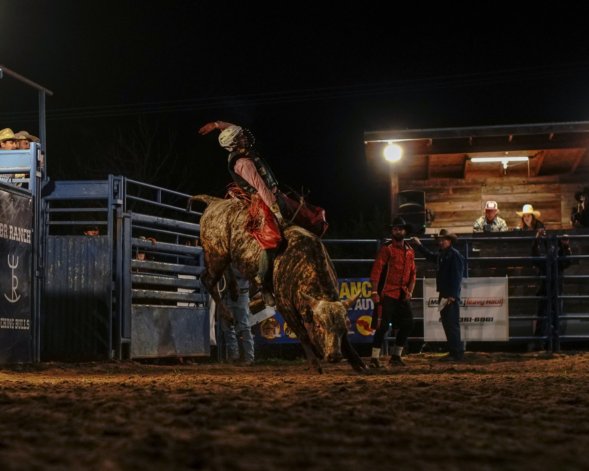 web update 1-14-26-42.jpg