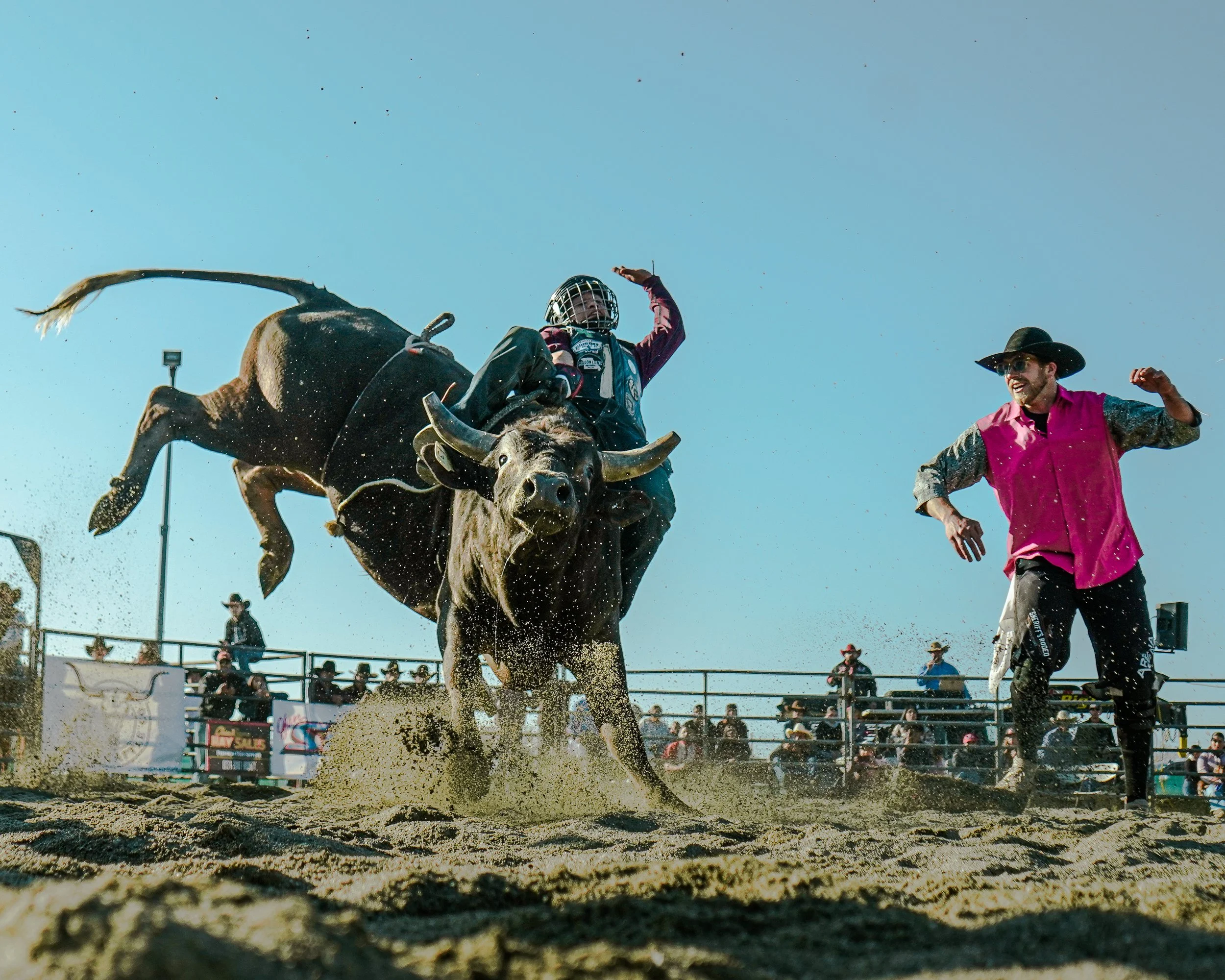 web update 1-14-26-21.jpg