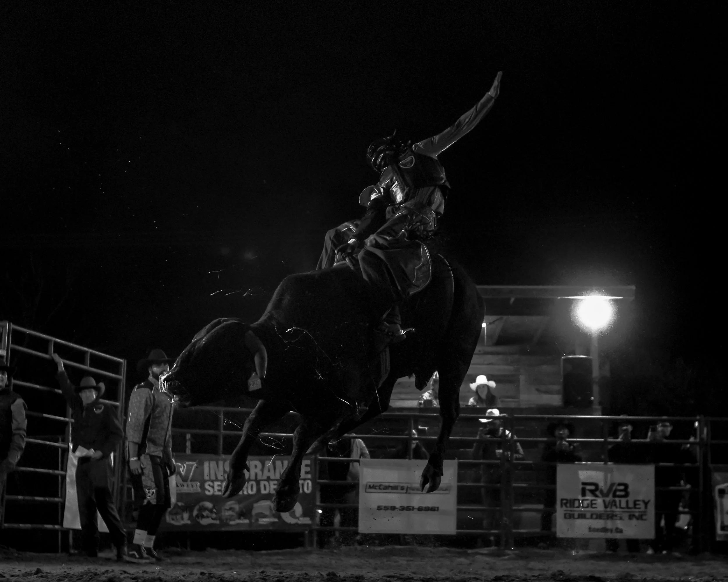 web update 1-14-26-44.jpg