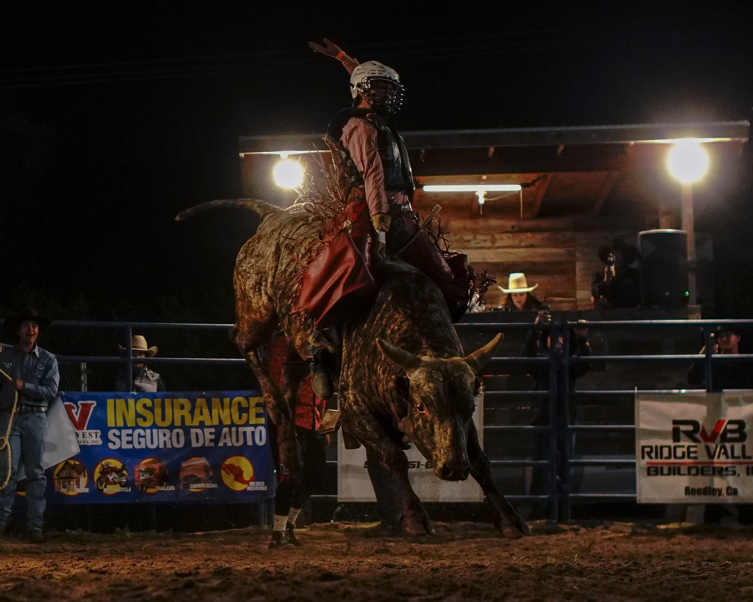 web update 1-14-26-43.jpg