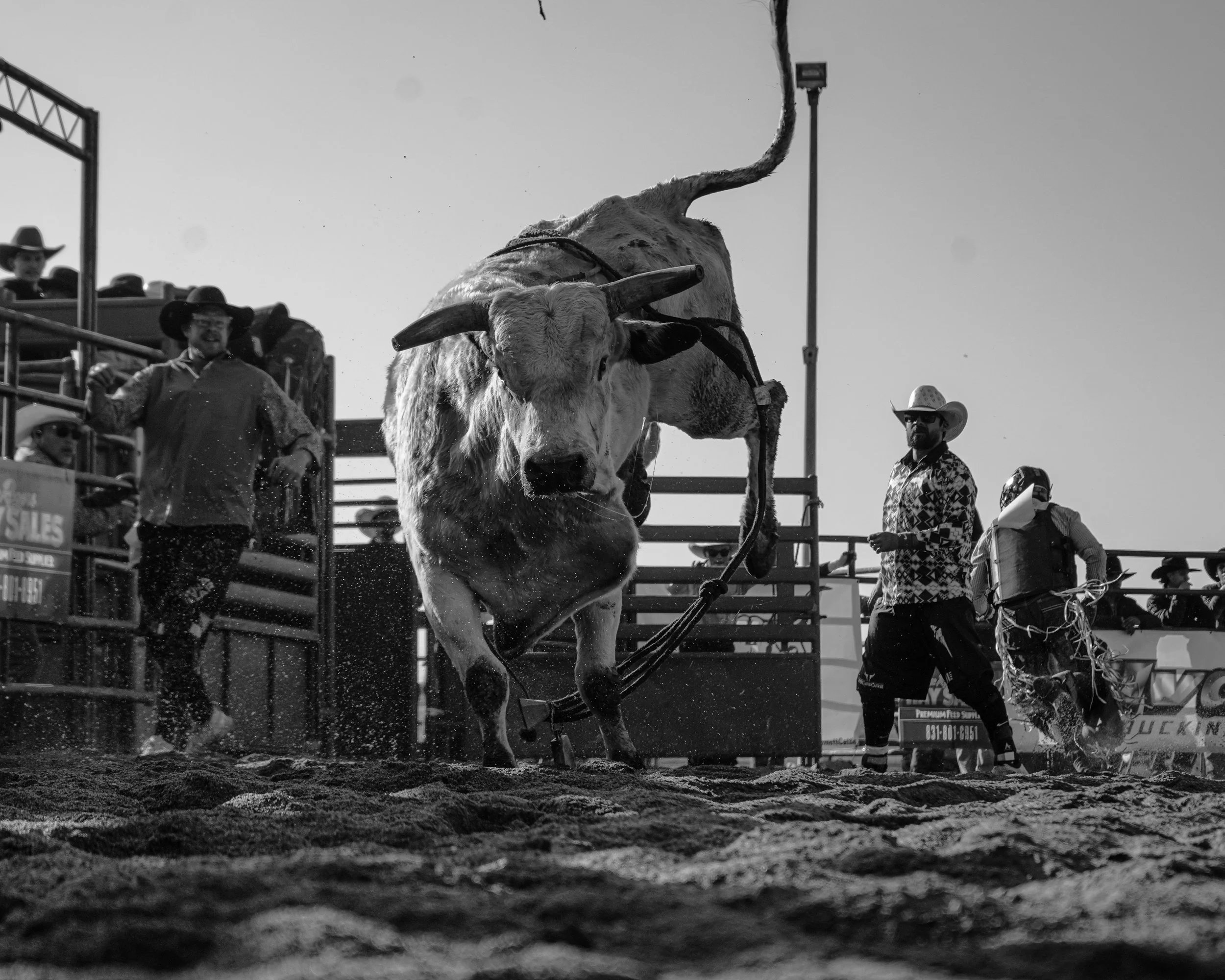 web update 1-14-26-24.jpg