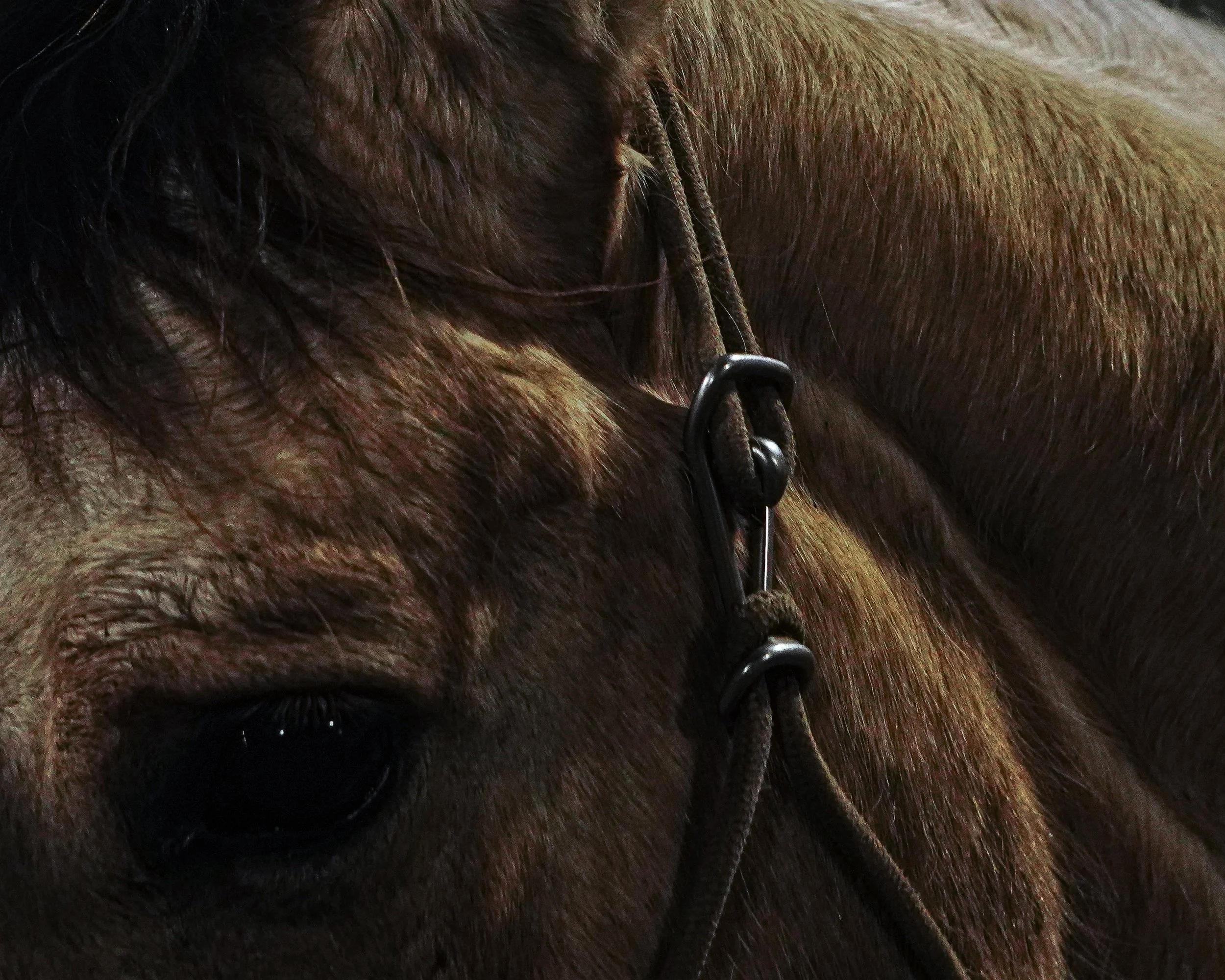 web update 1-14-26-4.jpg