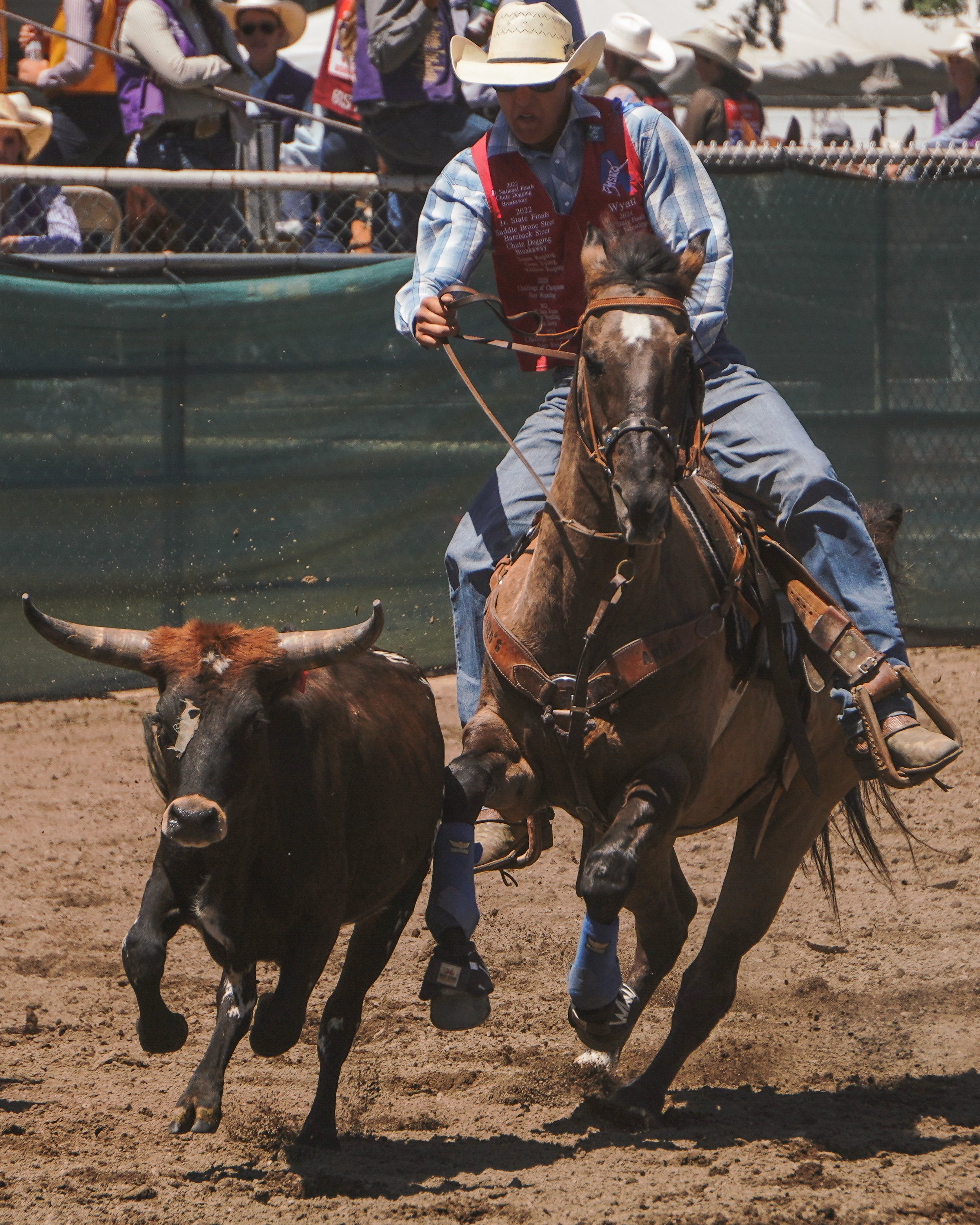 wyatt_attard-12.jpg