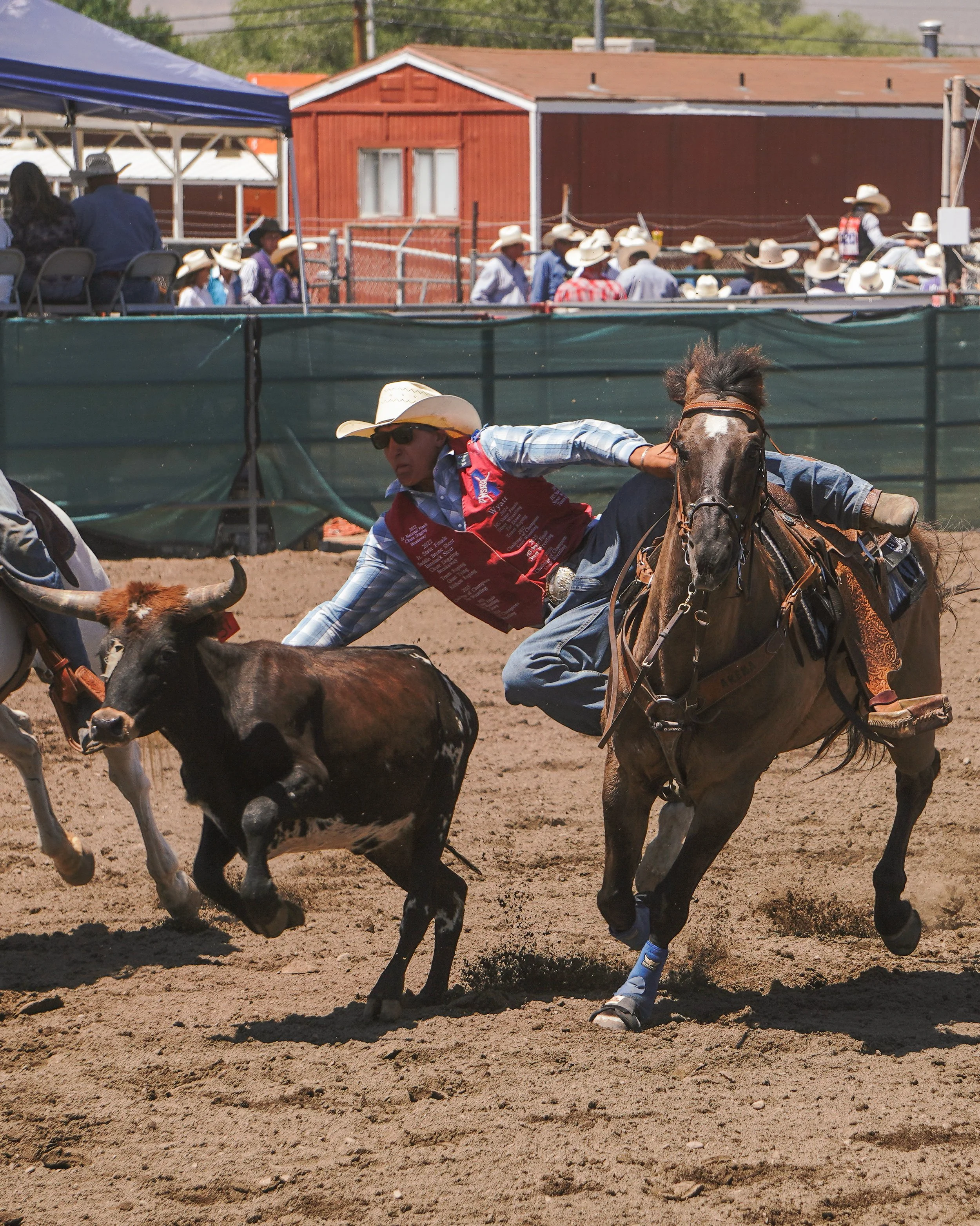 wyatt_attard-11.jpg