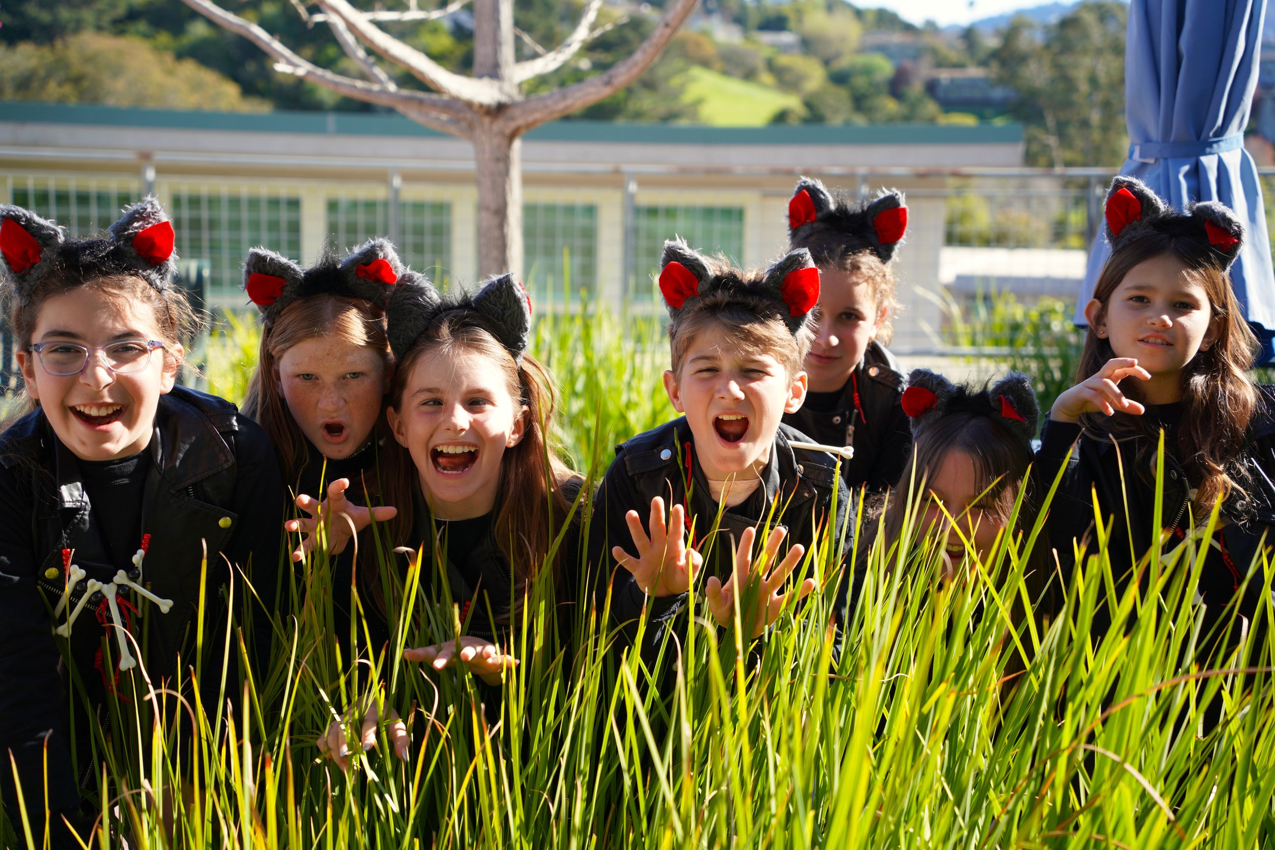 DSC01707 The Lion Kings Play coming 3.25.26 play at Bel Aire school with the Hyena's growling in the tall grasses of Africa.JPG