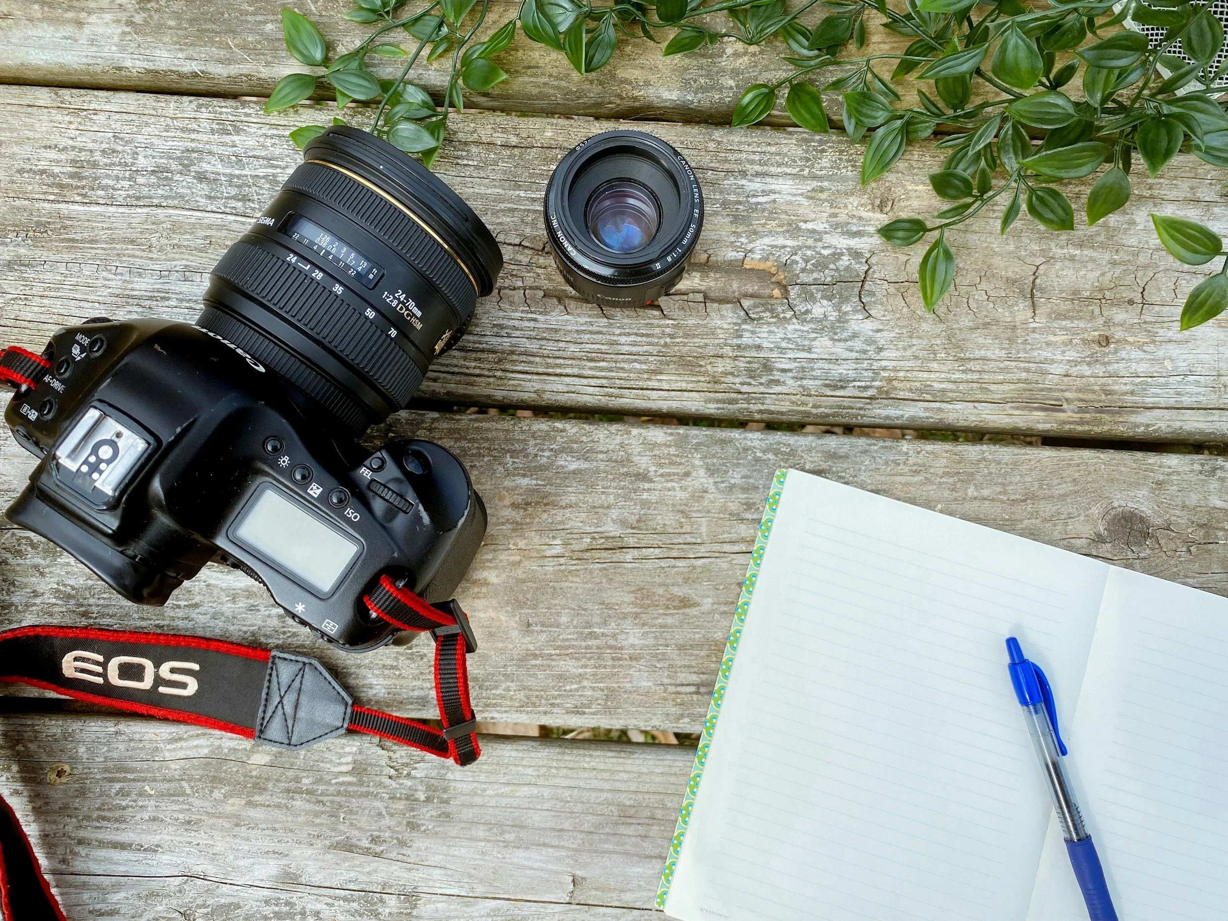 A camera with a zoom lens, a smaller camera lens, a notebook with a blue pen, and some green leaves on a weathered wooden surface.