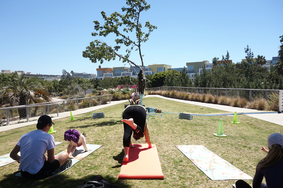 yoga for trees1.png