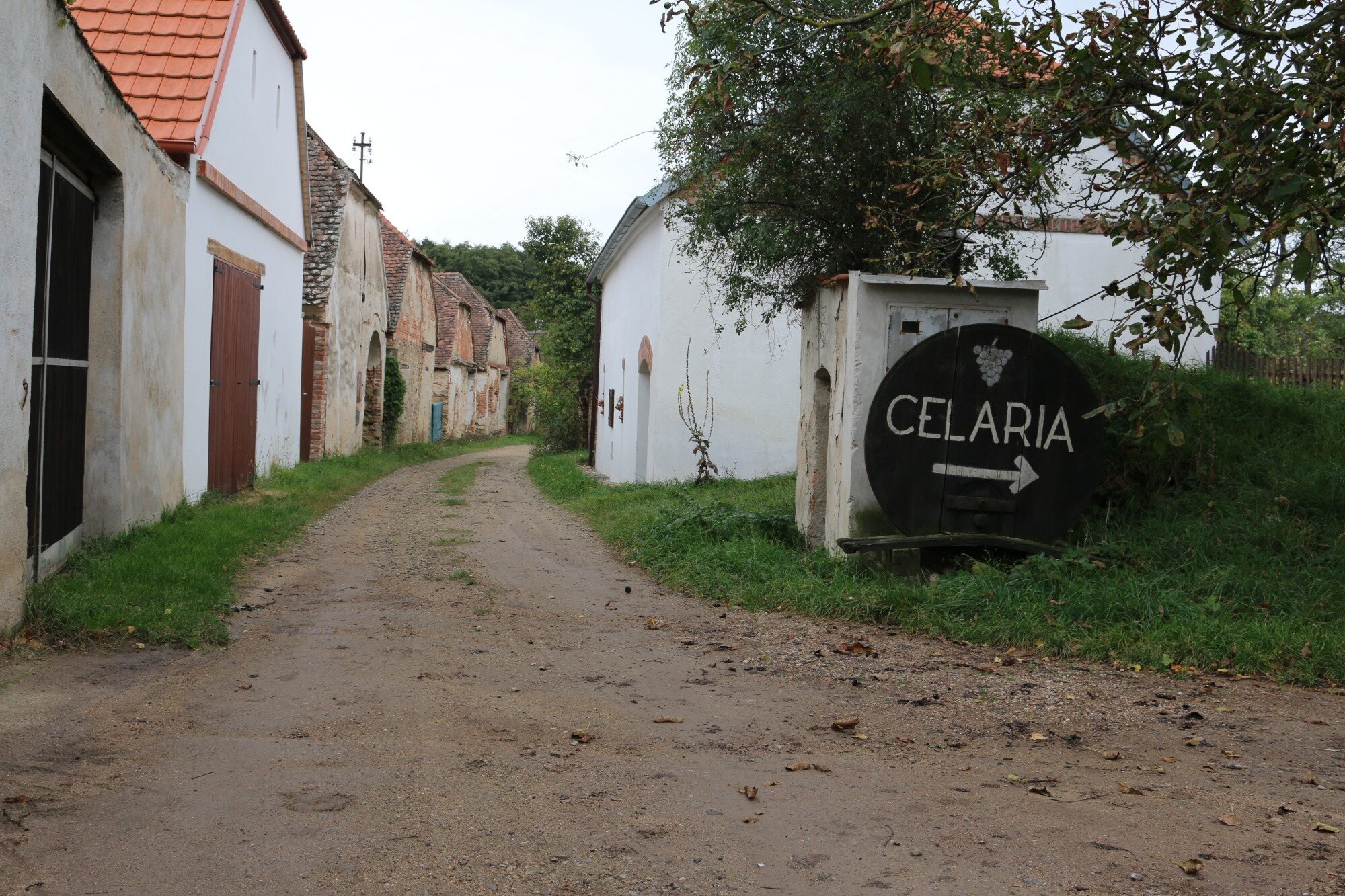 Street leading to Cellar