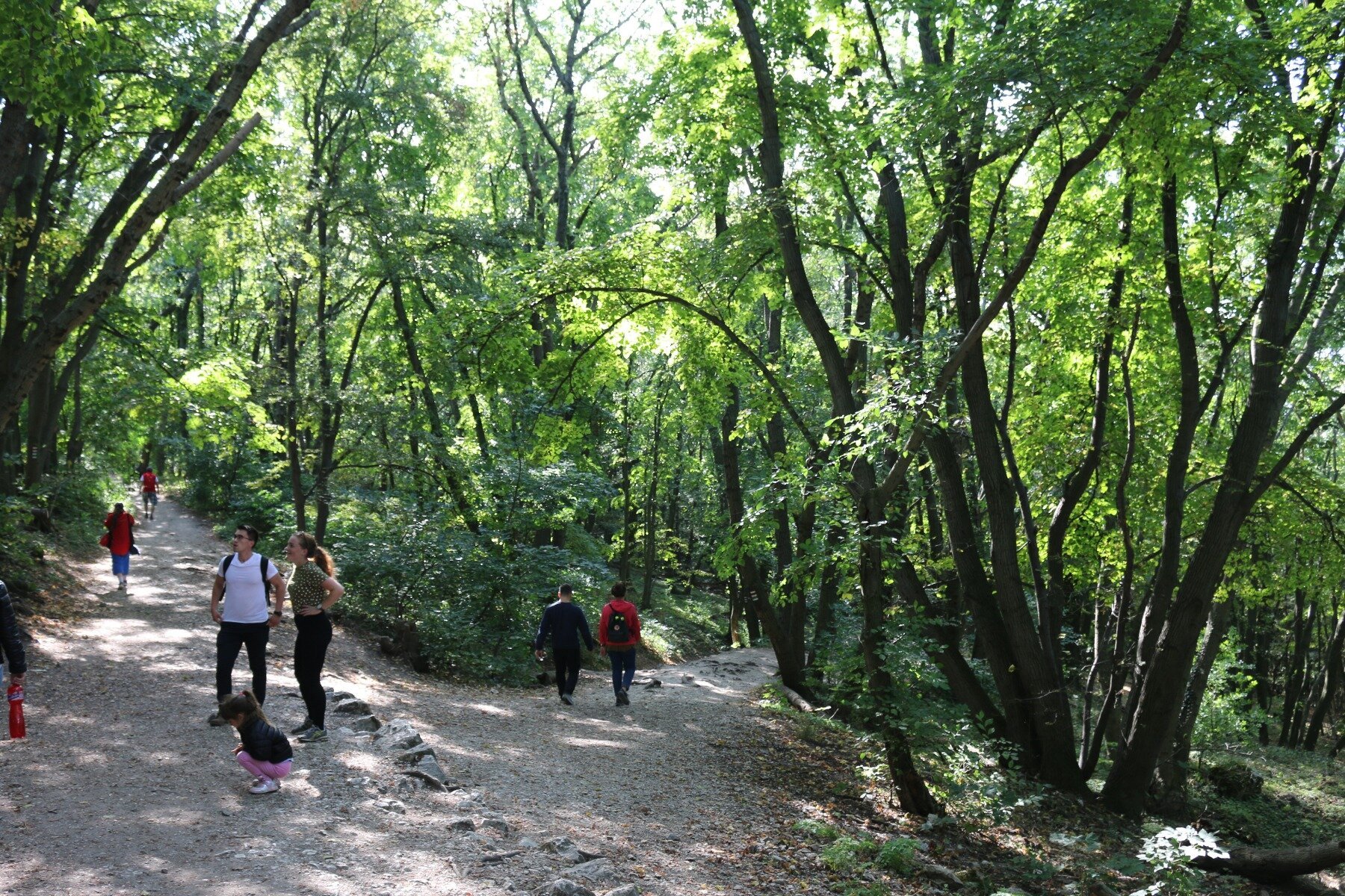 Hiking Path to Devčičky Castle