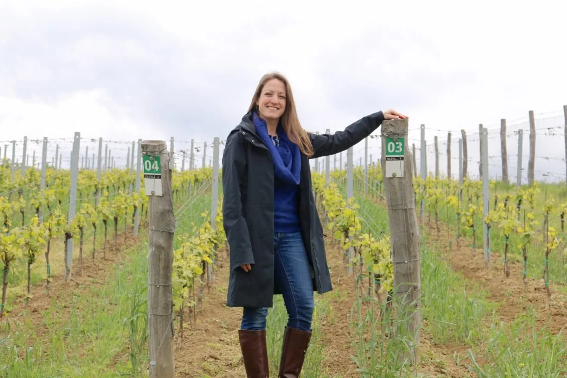 Six Months of Discovery