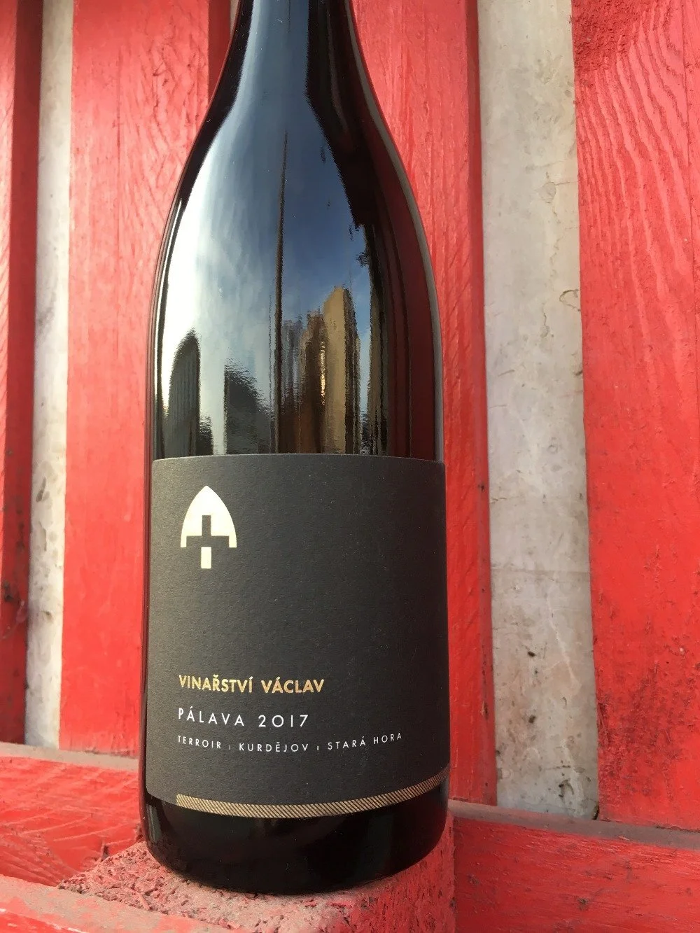 Pálava – The City and the Grape