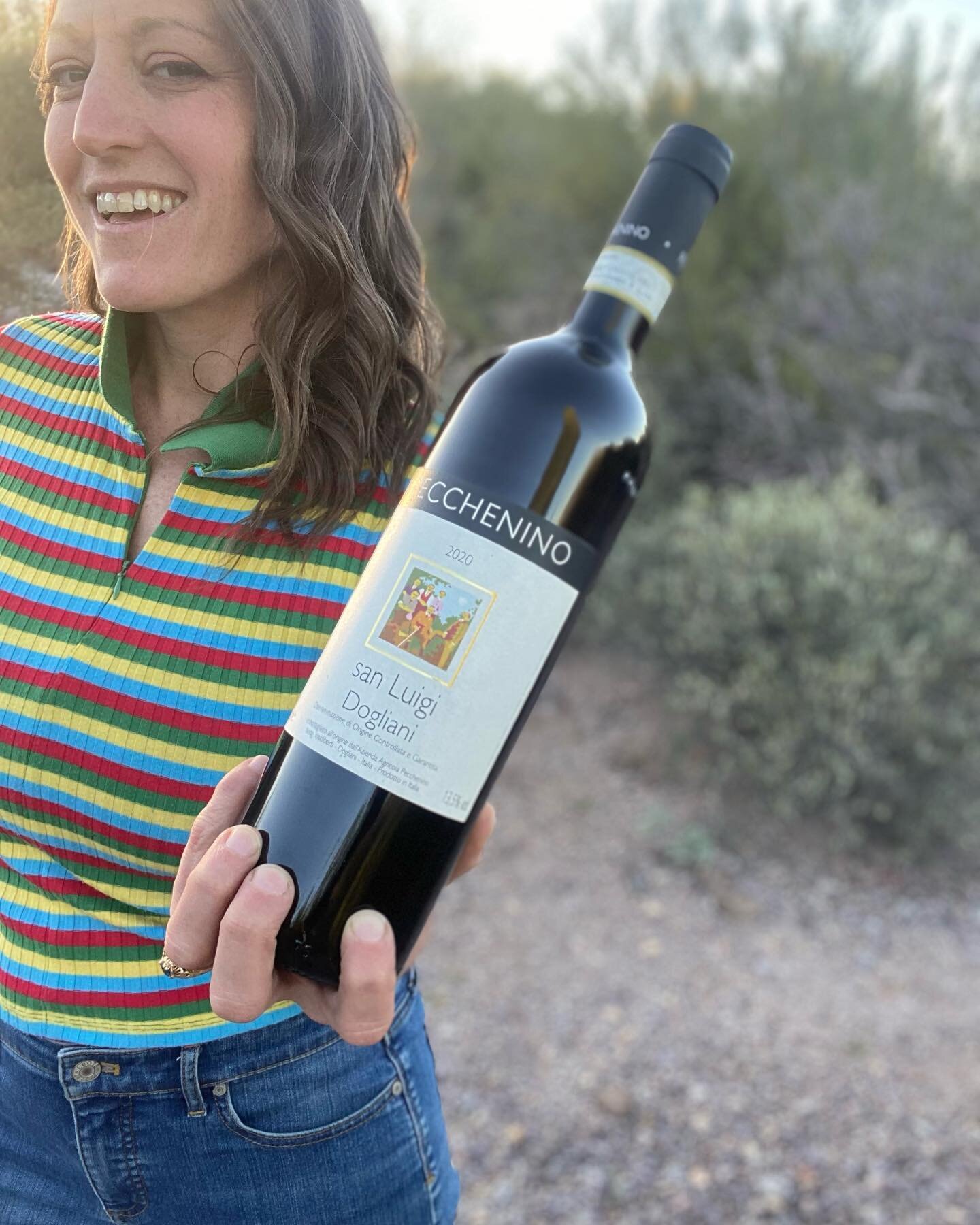 🌵Meanwhile, in Tucson, all I want is Dolcetto&hellip;
.
.
.
👇If you&rsquo;ve never had, or even heard of this variety, keep reading.
.
.
✨✨Dolcetto✨✨
.
🍇Early ripening, red wine variety, native to the Piedmont, Italy 🇮🇹
👉Dolcetto translates to 