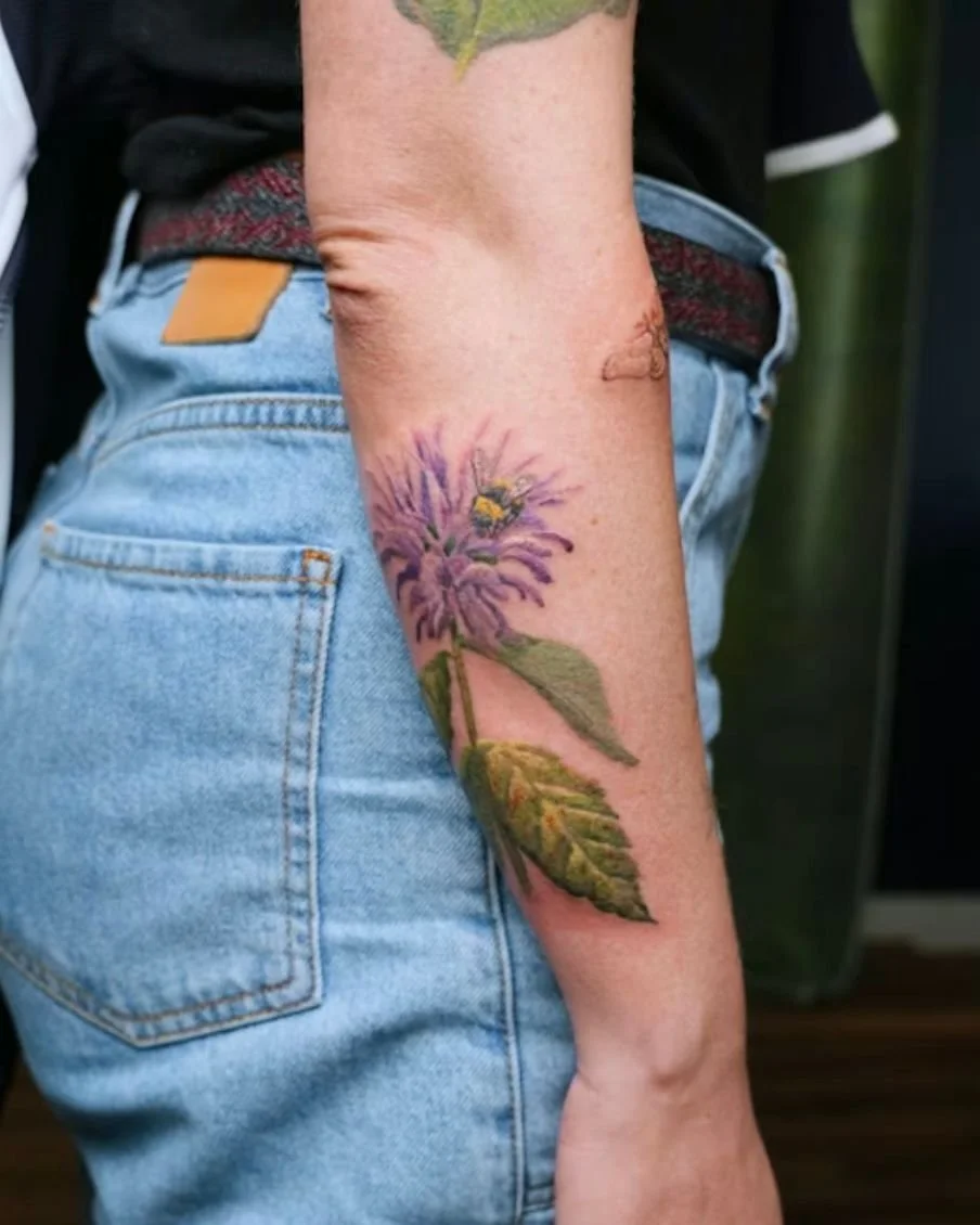 Monarda, or beebalm, is one of the Indiana natives growing at Heidi&rsquo;s home. 🌿🐝 

Along with milkweed, snakeroot, false asters, ostrich fern, and butterflies, each plant is part of her story📖

Indiana tattoo lovers, what plant are you getting