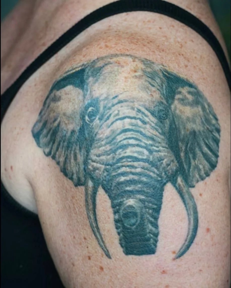 Most of what you see on my feed is fresh. 

This one has had a few years to settle.
Black and gray realism on the shoulder, healed and holding beautifully. While I&rsquo;m best known for botanical work, nature has always been my subject more broadly.