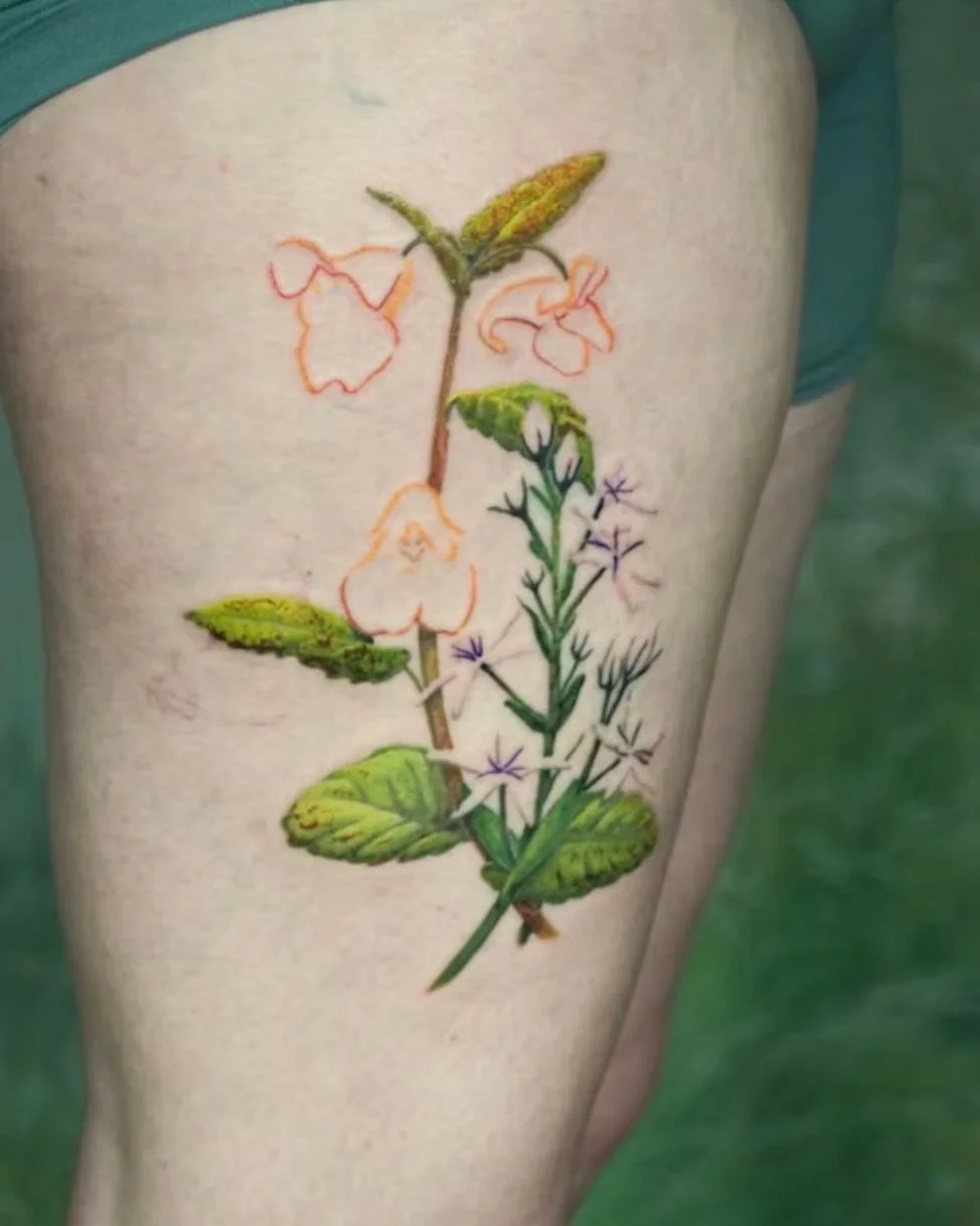 Have you ever wanted a tattoo that actually reflects the life you live every day?⛅️🤔

Meredith wanted two plants that meant something specific&hellip;

Felwort for a favorite place. 🤍
Jewelweed for the plant she sees most often in her biological fi