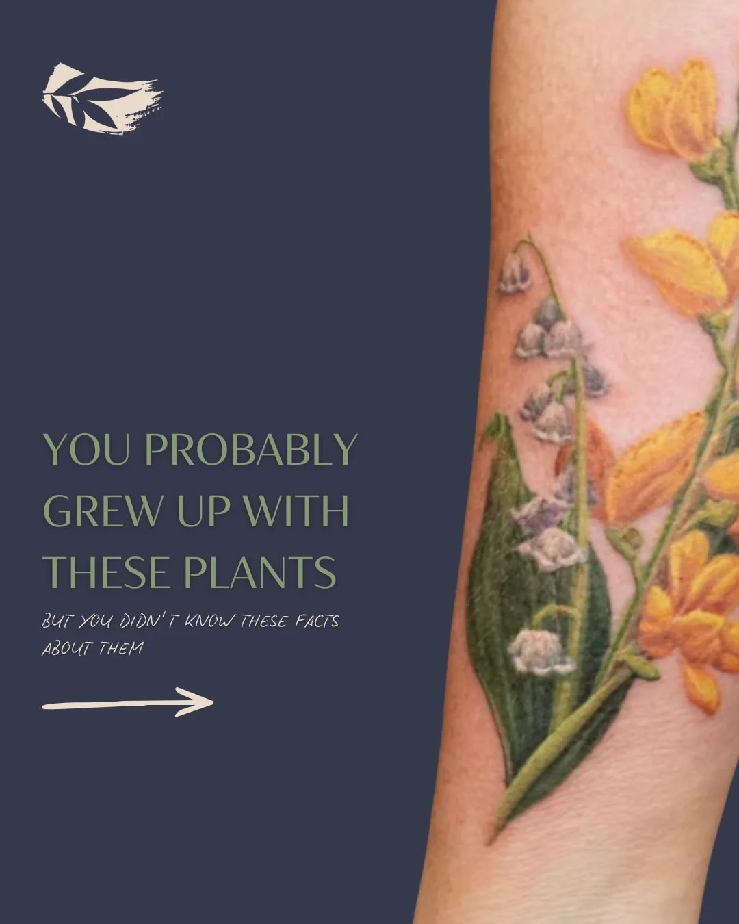 Are you someone who is interested in the scientific meaning behind plants? Or are you curious about the meaning behind your botanical tattoo? 

The plants you grew up with have centuries of history behind them. Most people just never stopped to look.