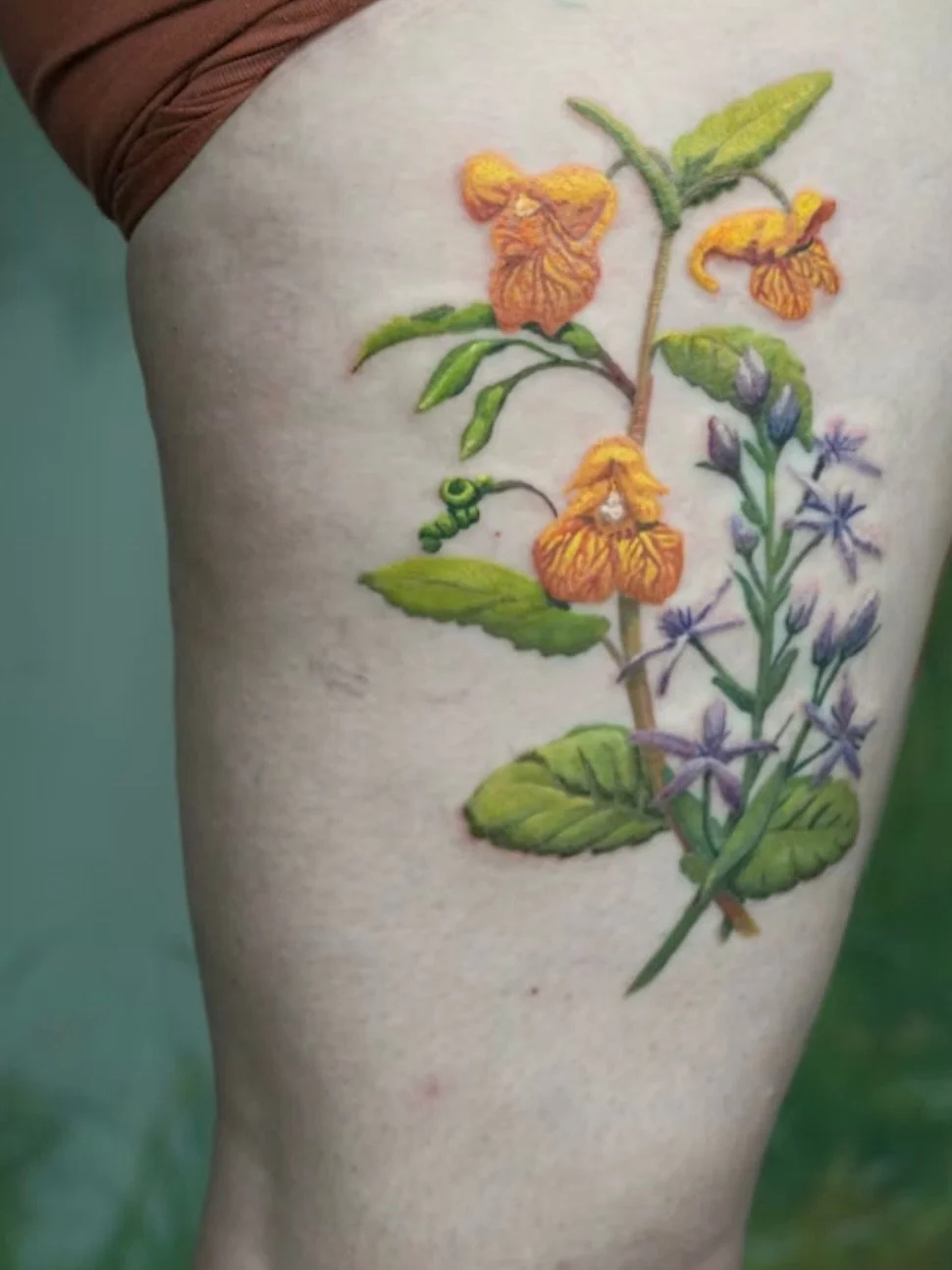 Did you know jewelweed seed pods explode when you touch them?🤔

Meredith is an environmental scientist and these are plants she sees in her work every day. The felwort and jewelweed are in now and that close up shows exactly why I love this plant.

