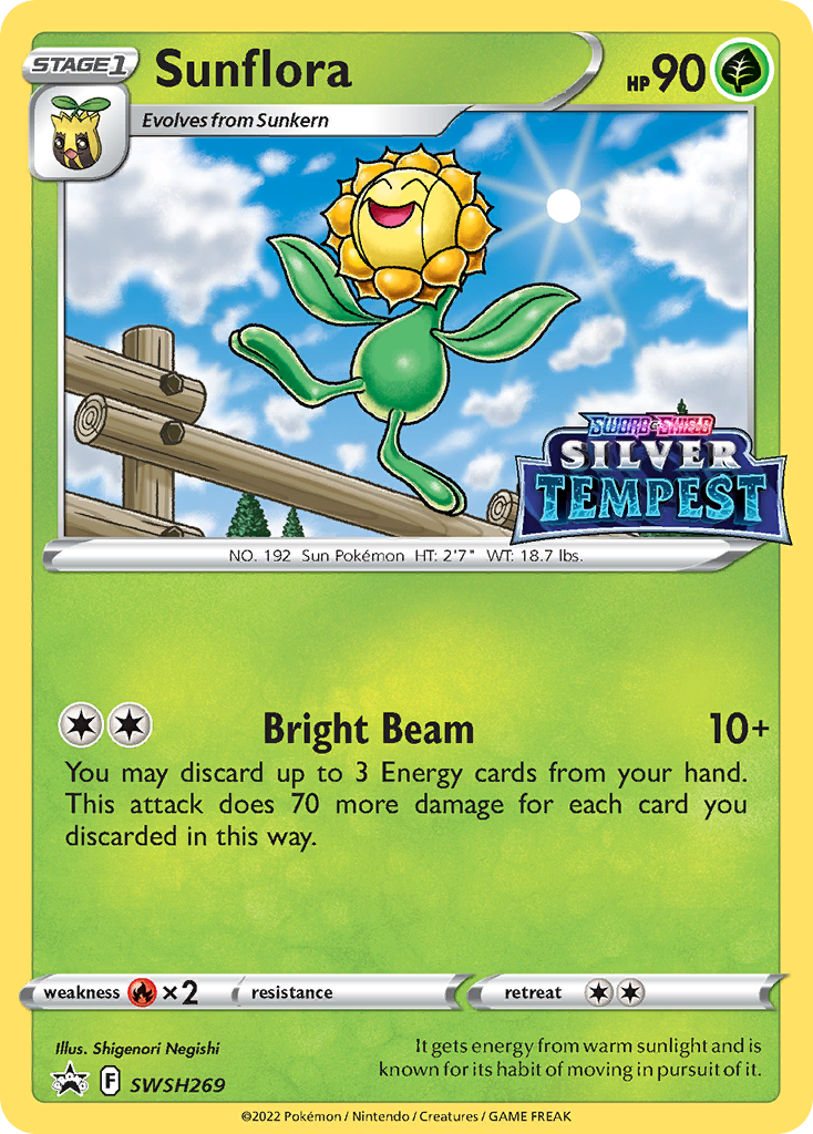 The Metagame of the Pokémon TCG  Play Pokémon Spotlight 