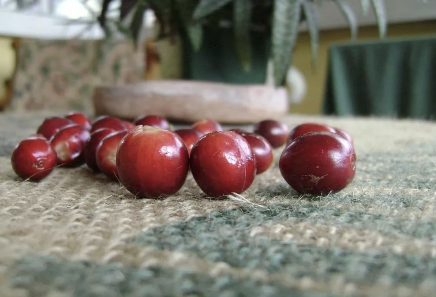 Screen Shot 2022-10-31 at 9.45.37 PM.png