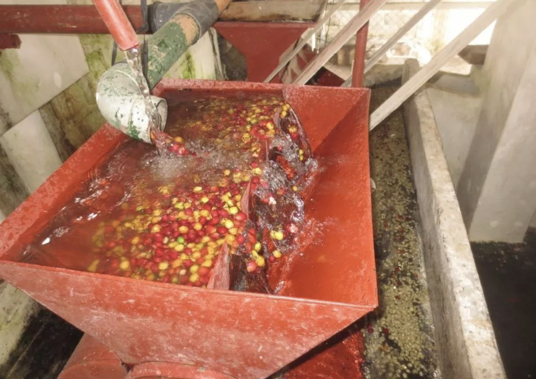 Screen Shot 2022-10-31 at 9.46.12 PM.png